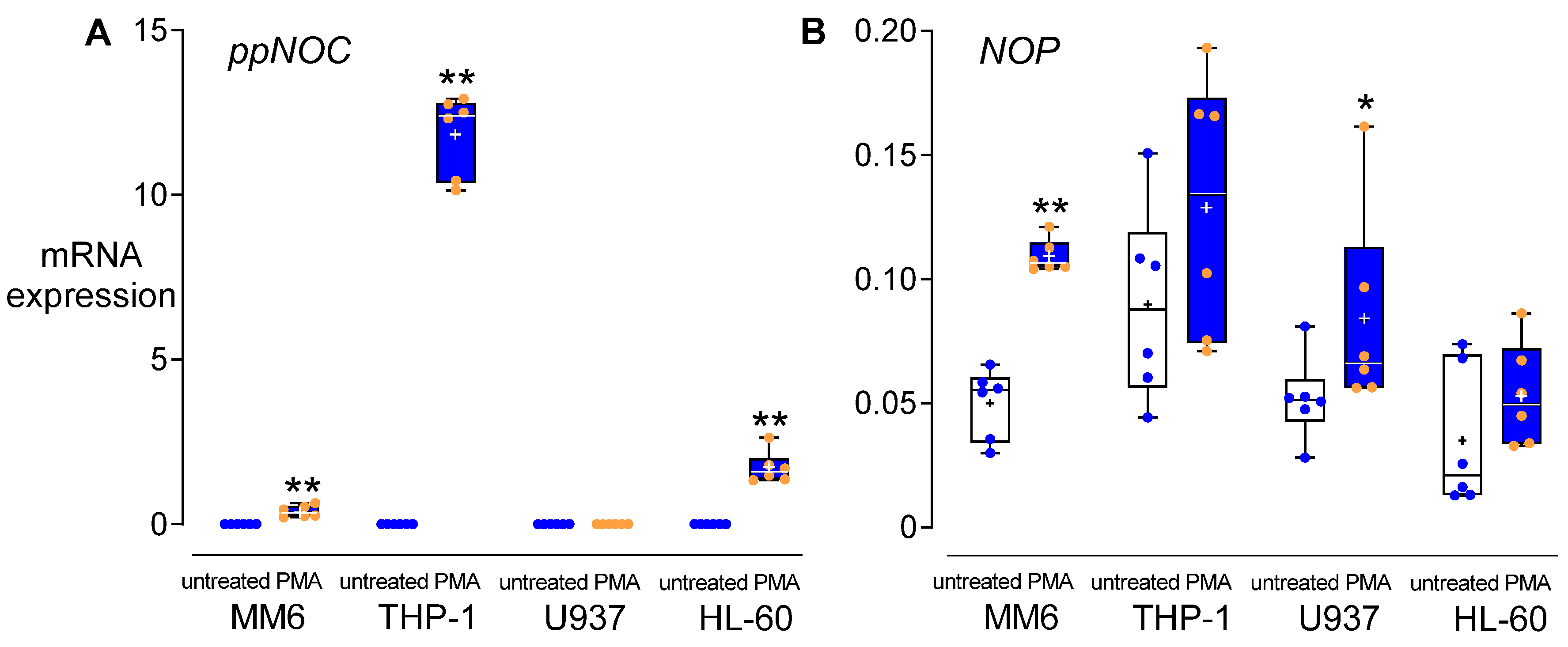 Cells 11 01085 g002 Cells 11 01085 g002
