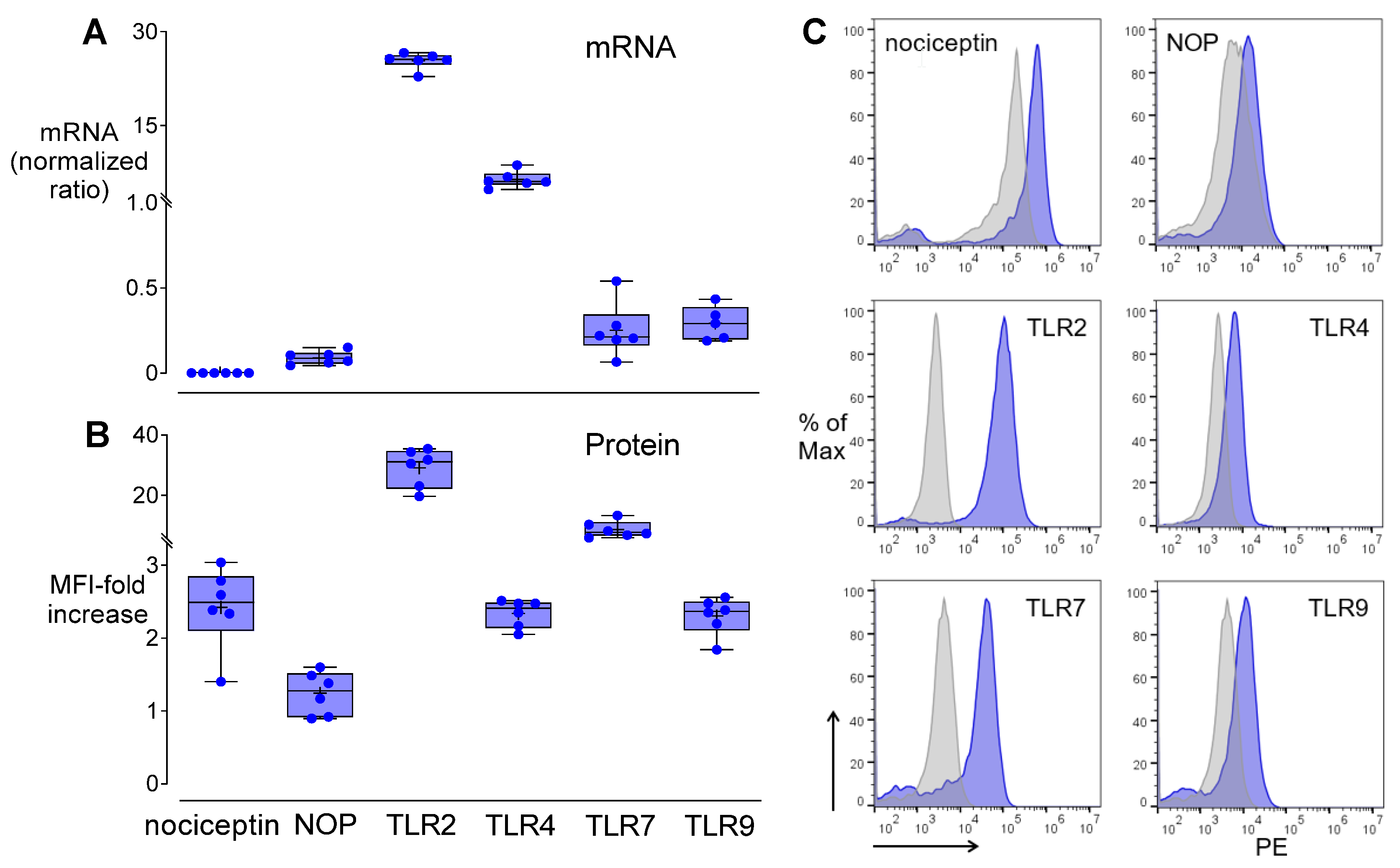 Cells 11 01085 g005 Cells 11 01085 g005