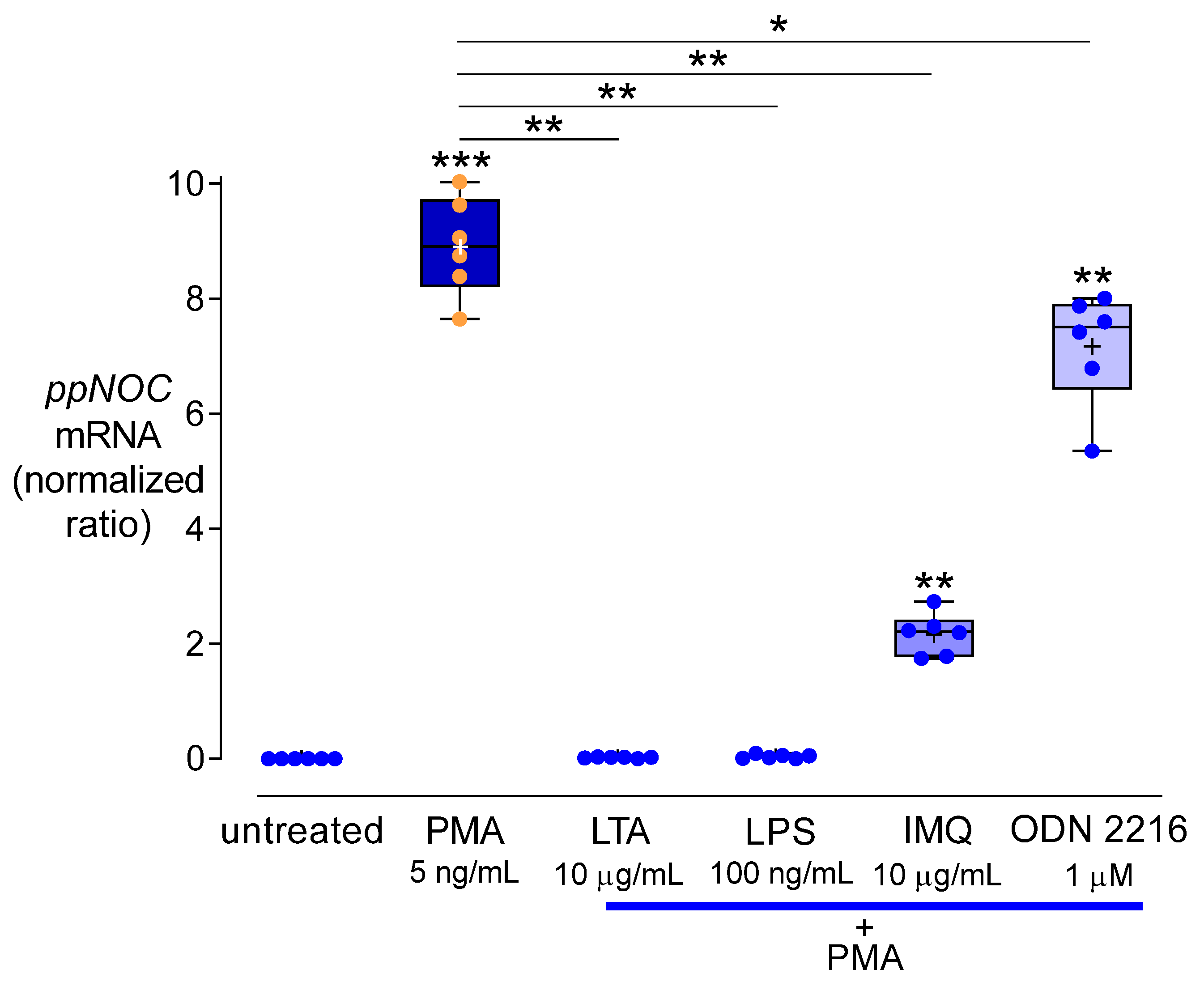 Cells 11 01085 g006 Cells 11 01085 g006