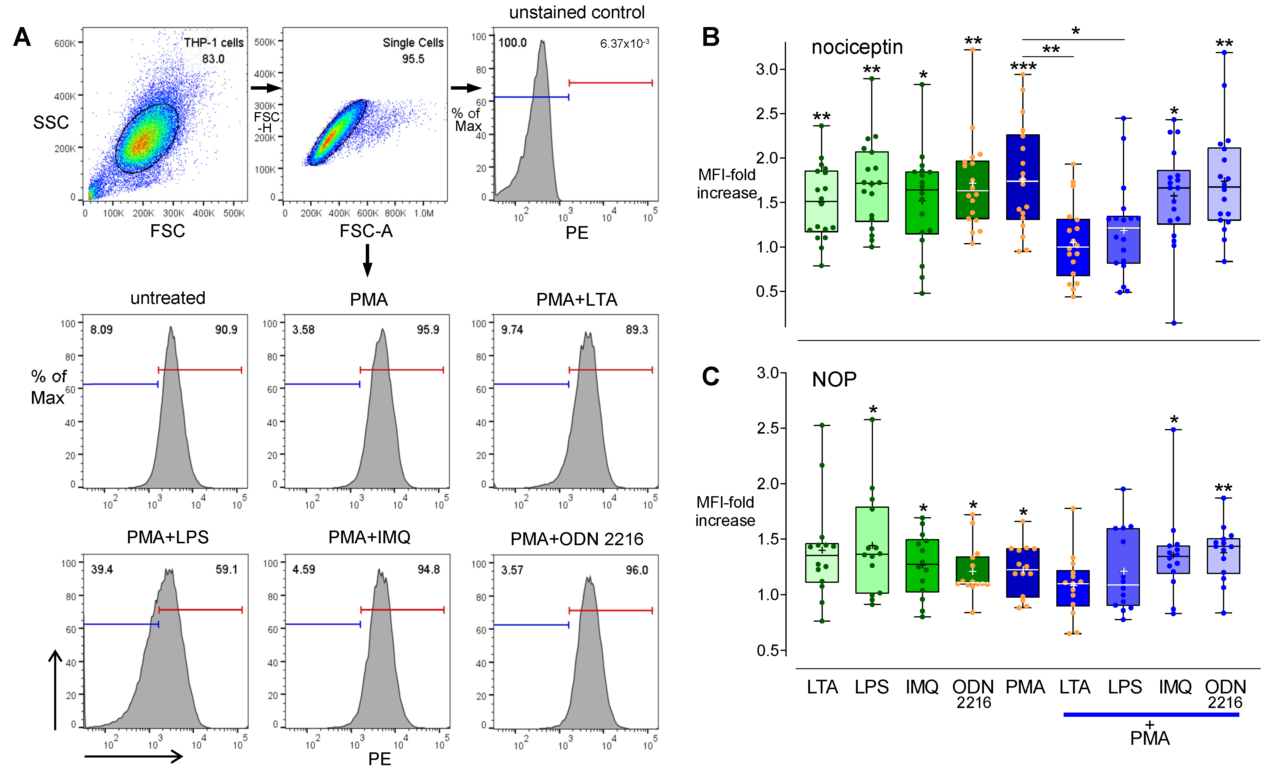 Cells 11 01085 g007 Cells 11 01085 g007