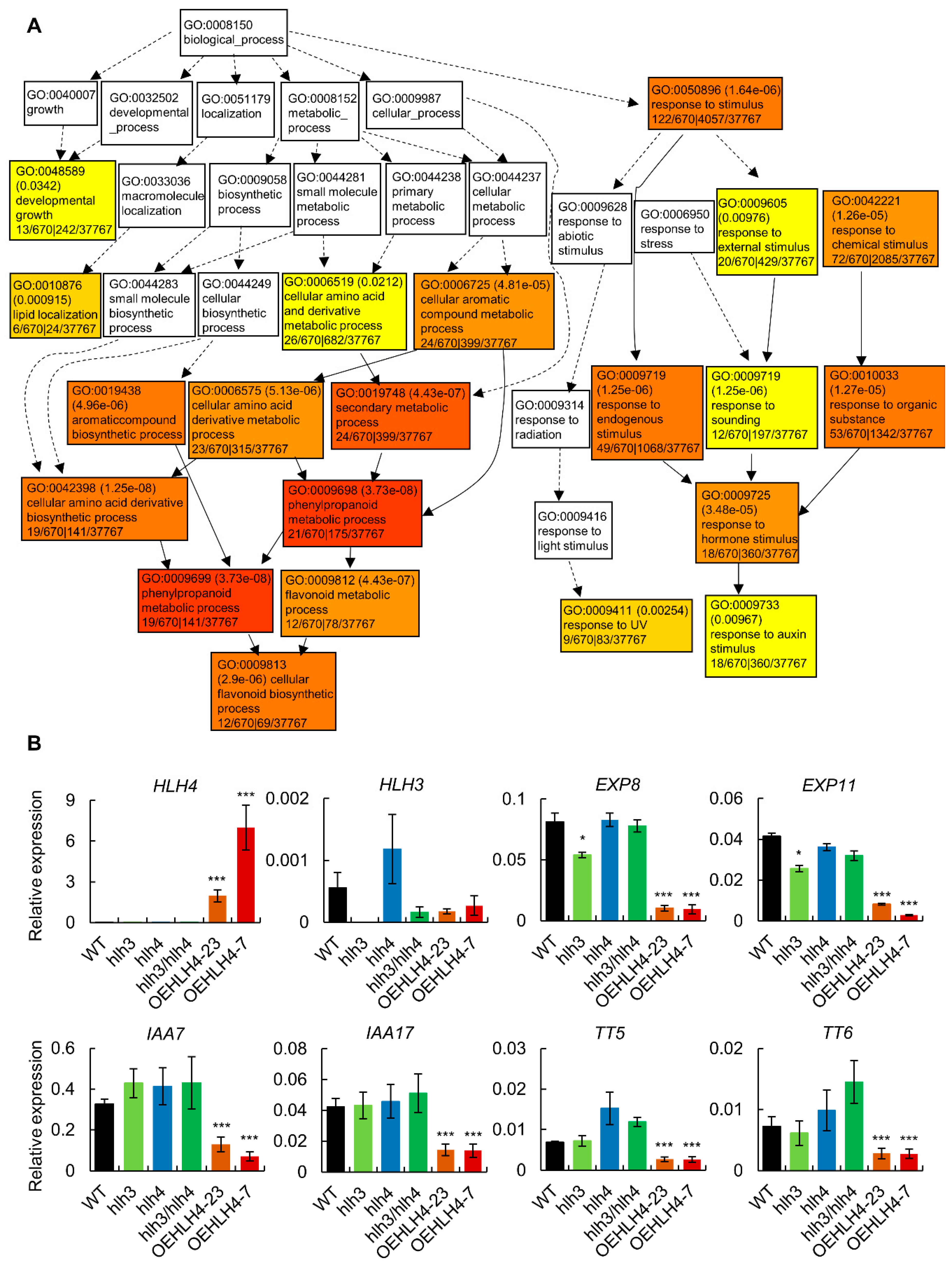 Cells 11 01087 g003 550