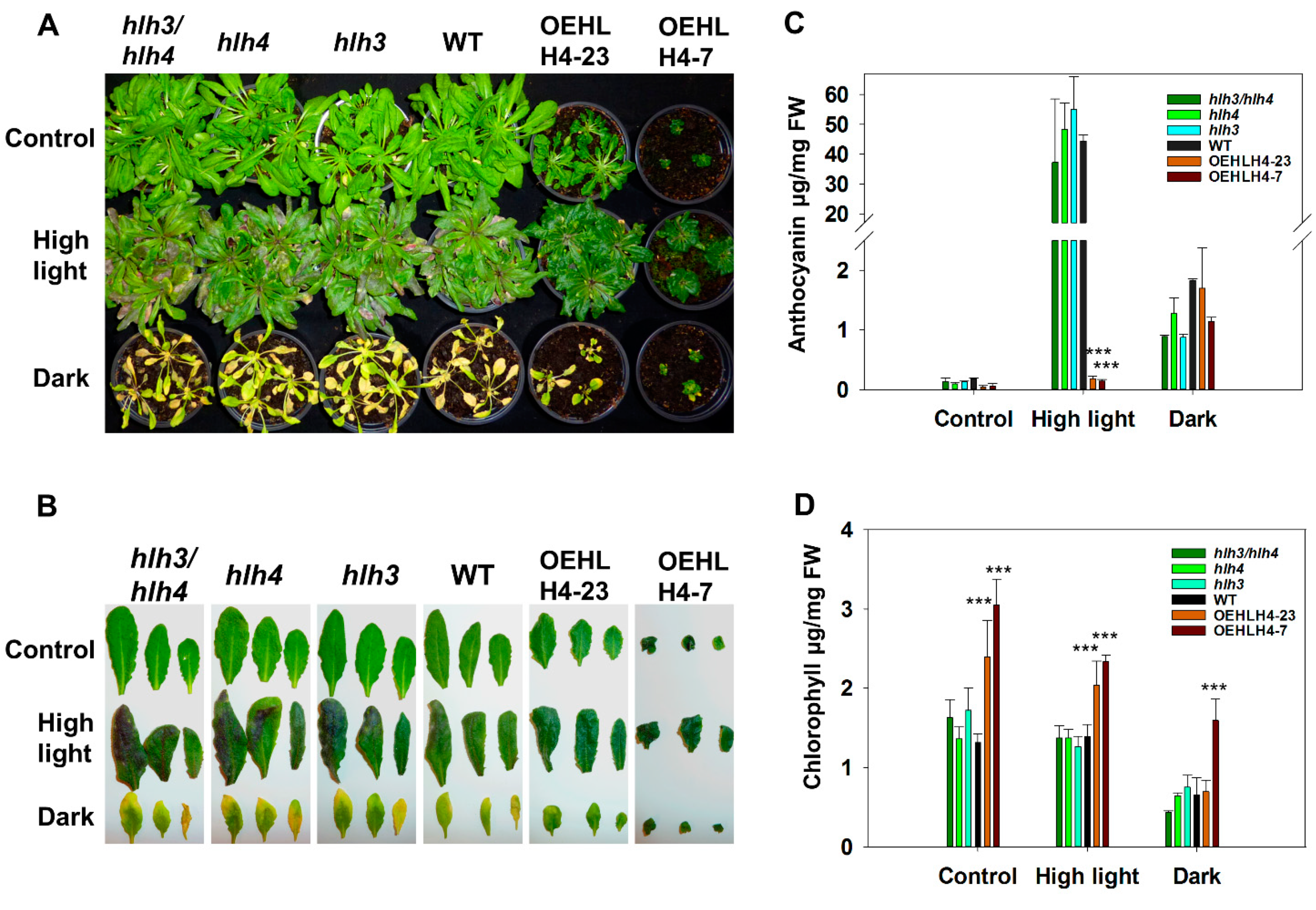 Cells 11 01087 g004 550