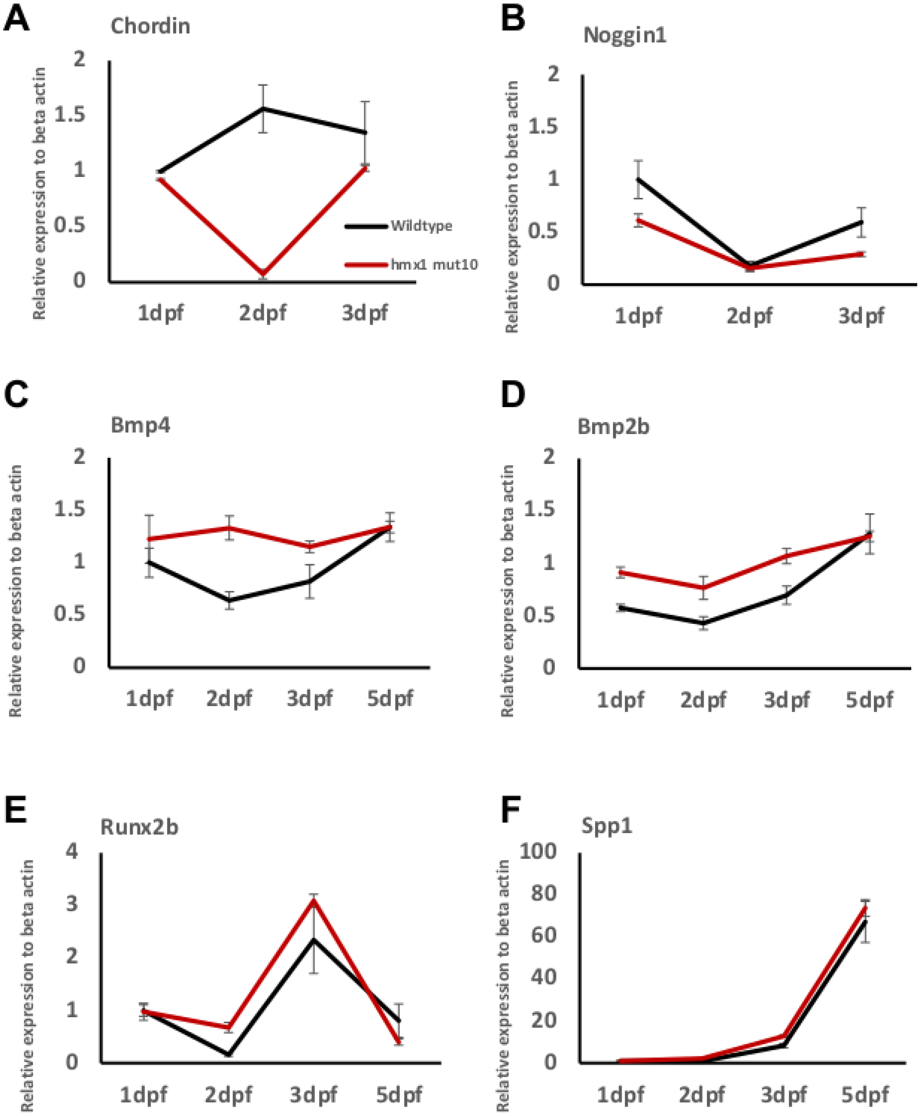 Cells 11 01088 g003 Cells 11 01088 g003