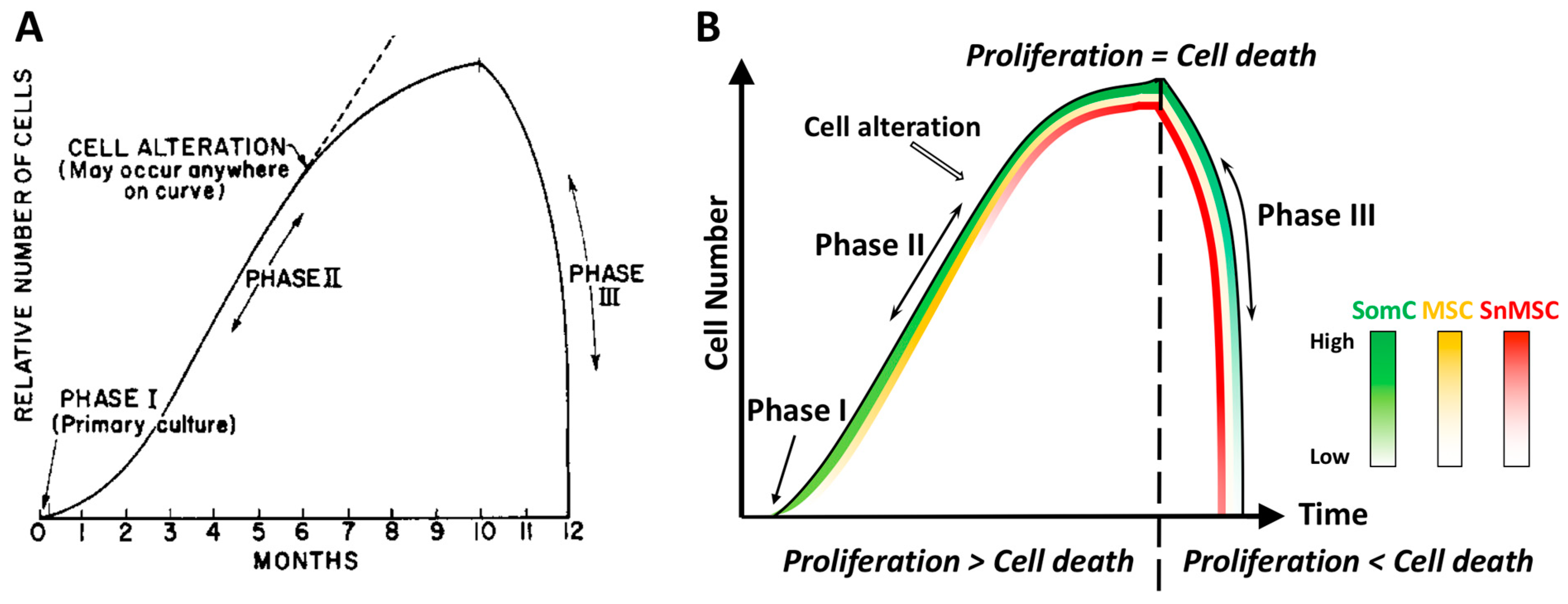 Cells 11 01089 g001 550