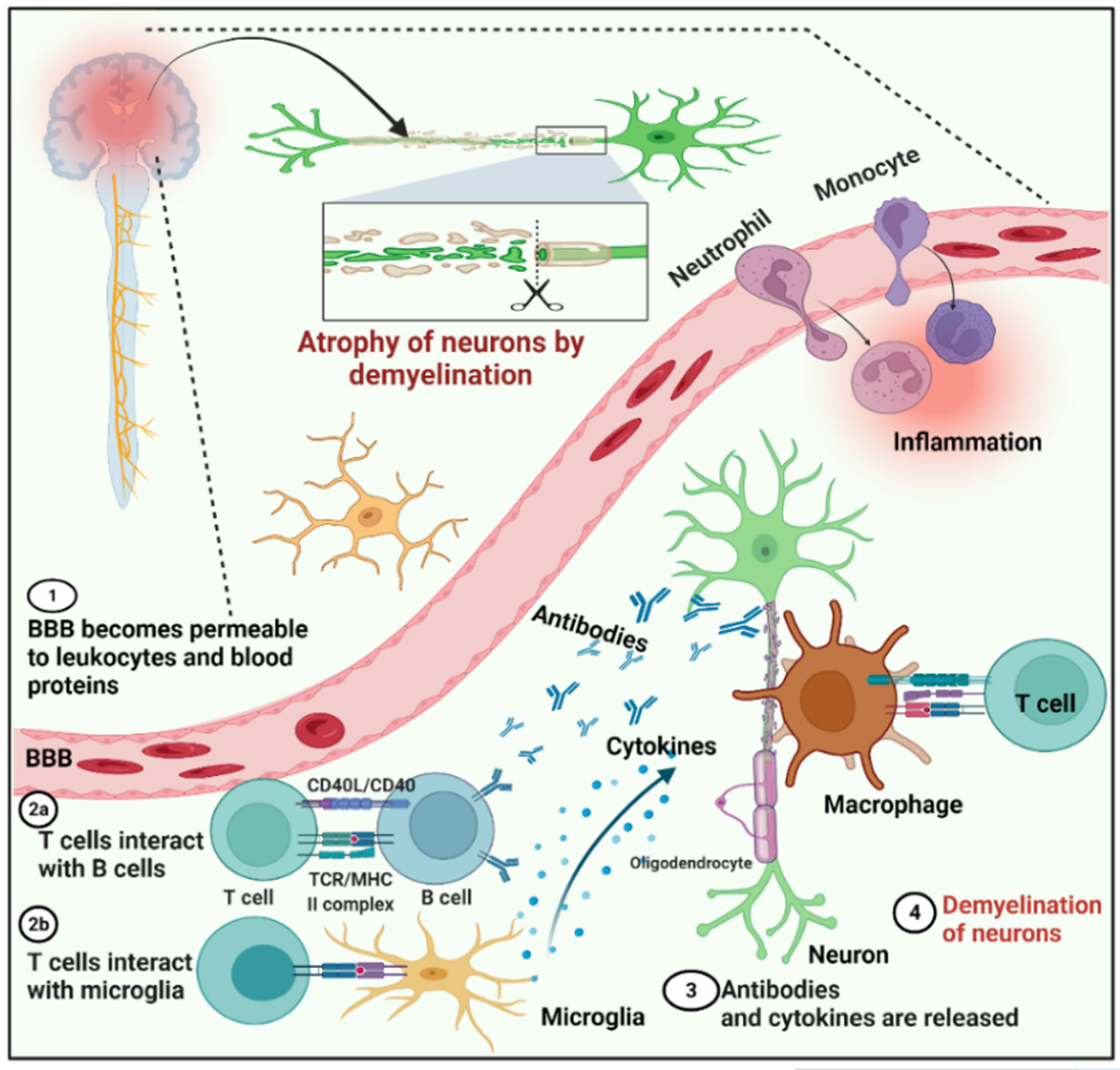 Cells 11 01093 g001 Cells 11 01093 g001