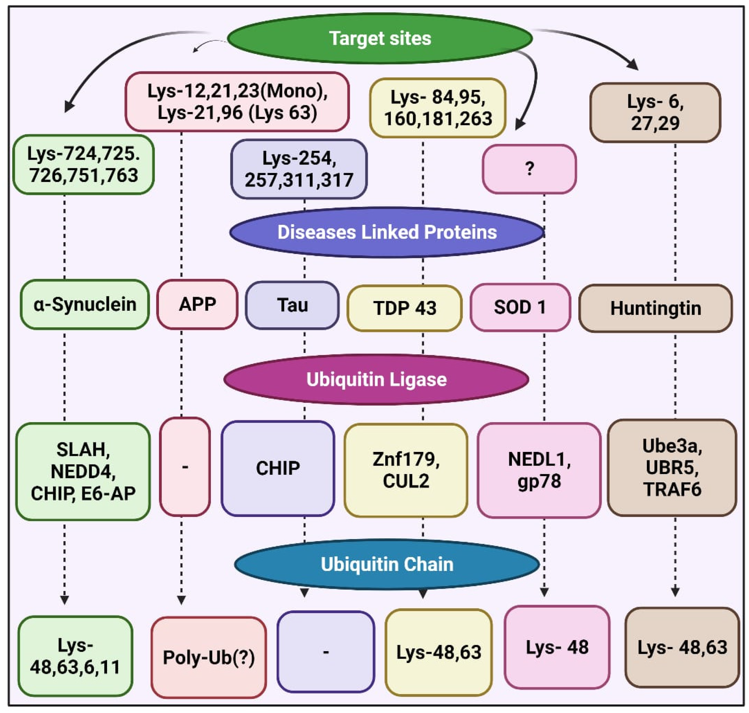 Cells 11 01093 g003 Cells 11 01093 g003
