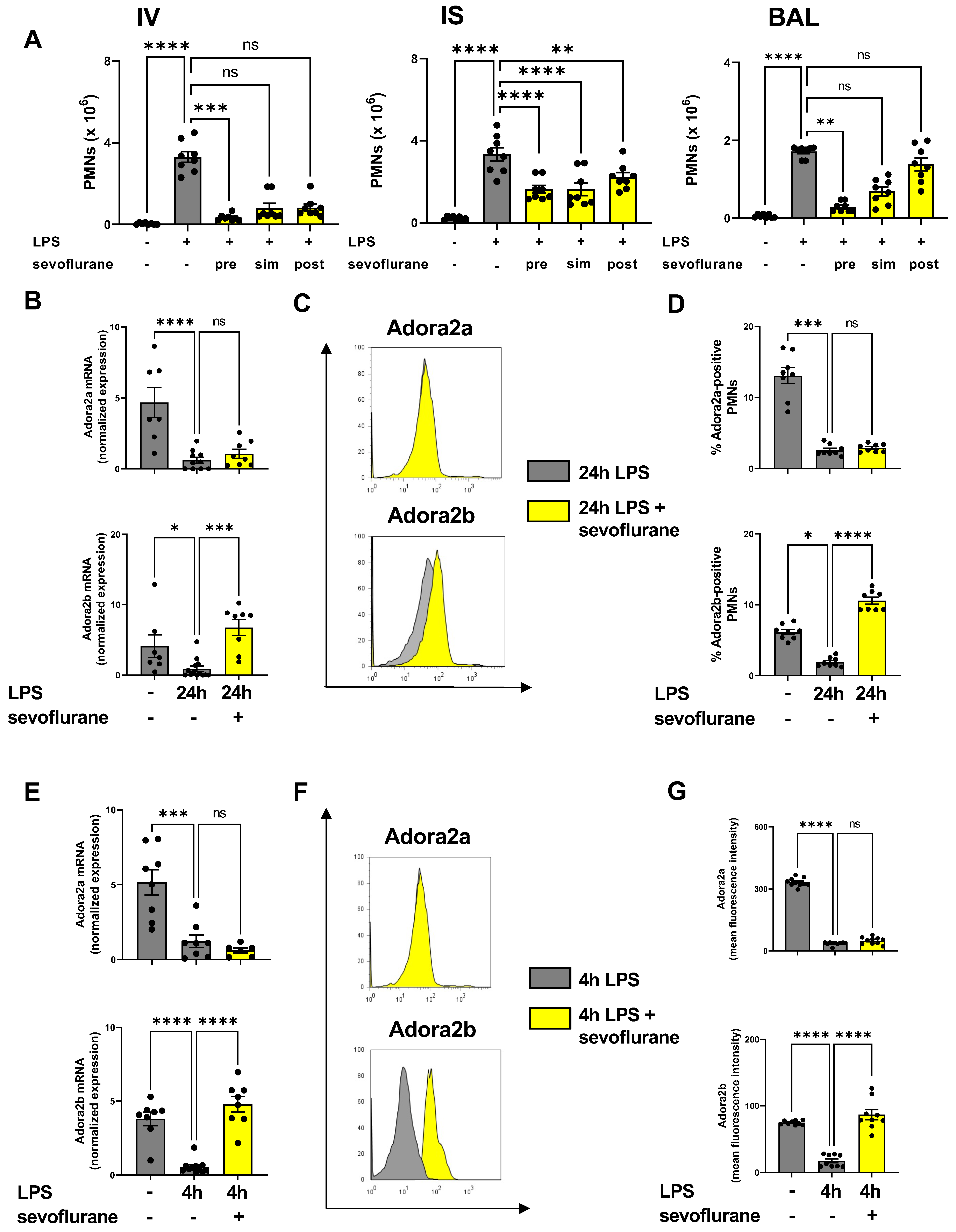 Cells 11 01094 g001 Cells 11 01094 g001