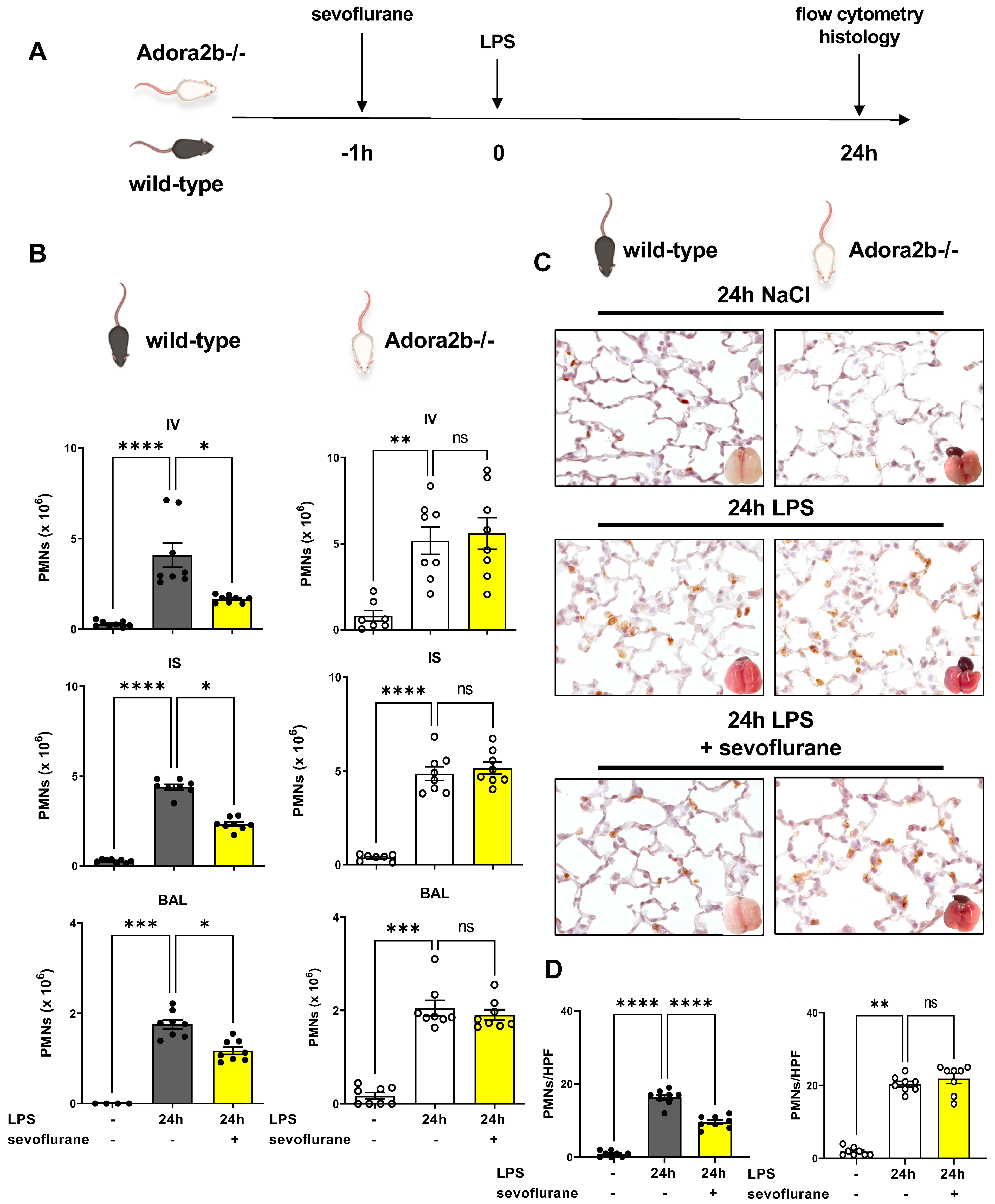 Cells 11 01094 g002 Cells 11 01094 g002