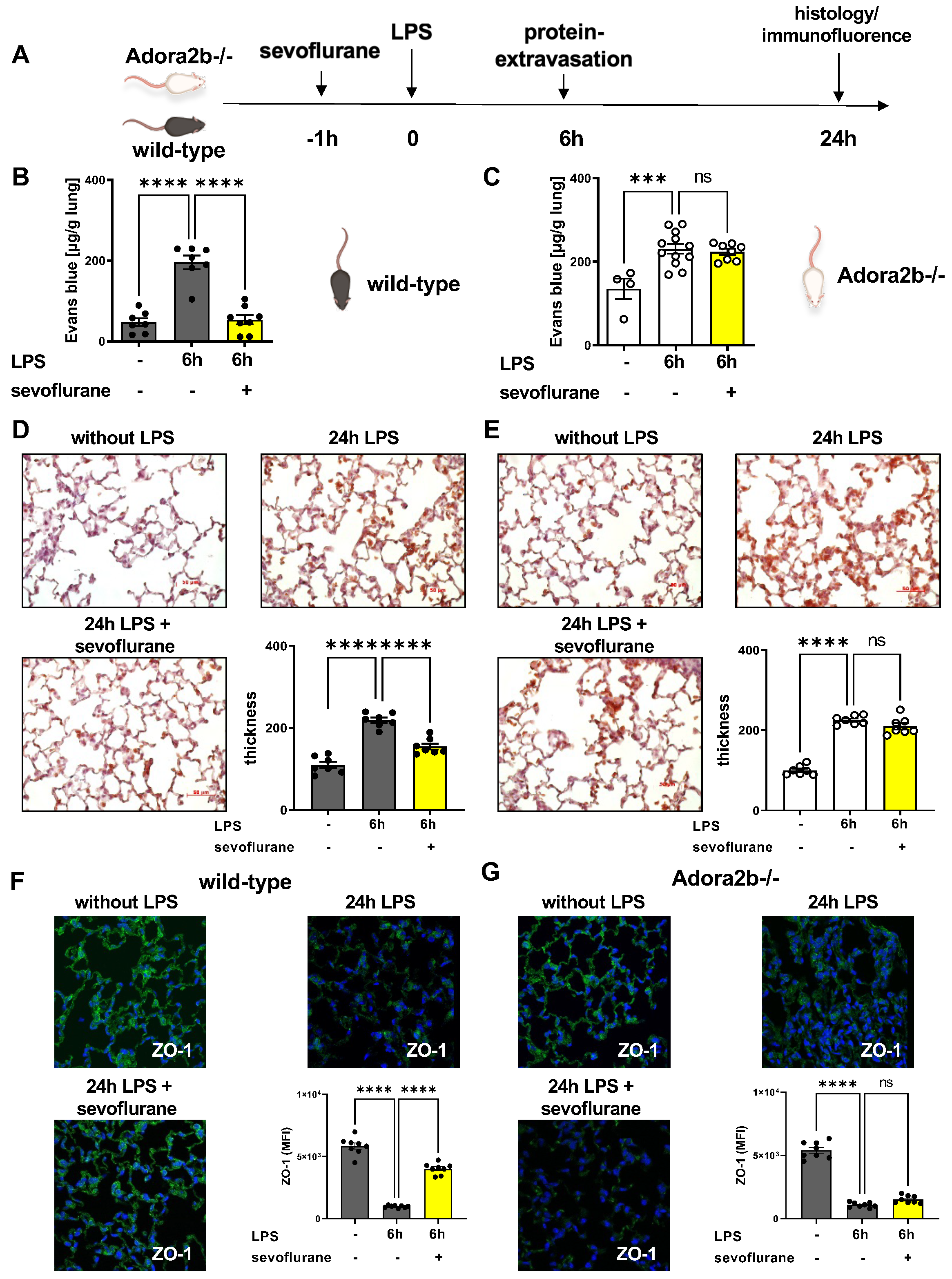 Cells 11 01094 g004 Cells 11 01094 g004
