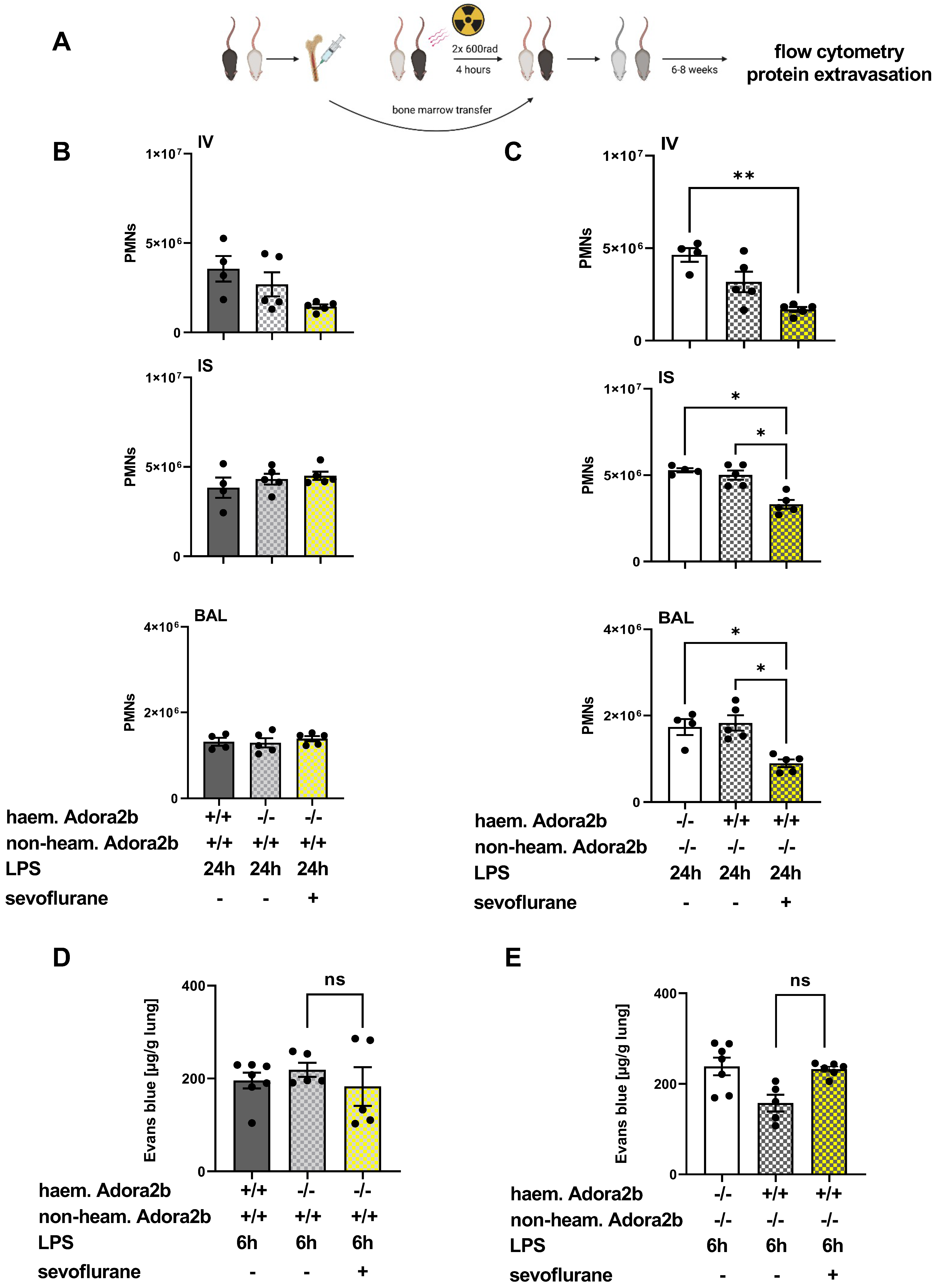 Cells 11 01094 g006 Cells 11 01094 g006