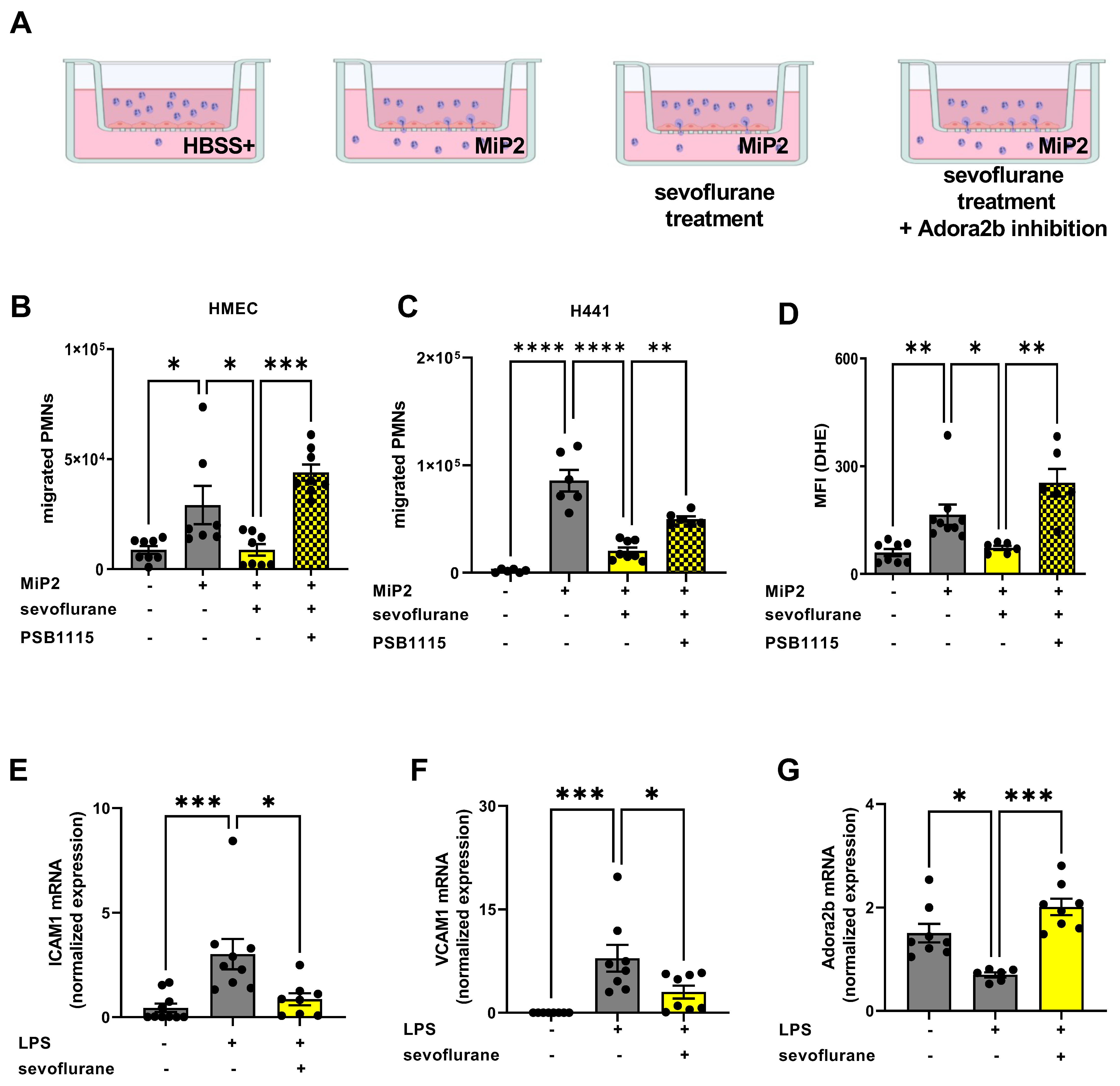 Cells 11 01094 g007 Cells 11 01094 g007