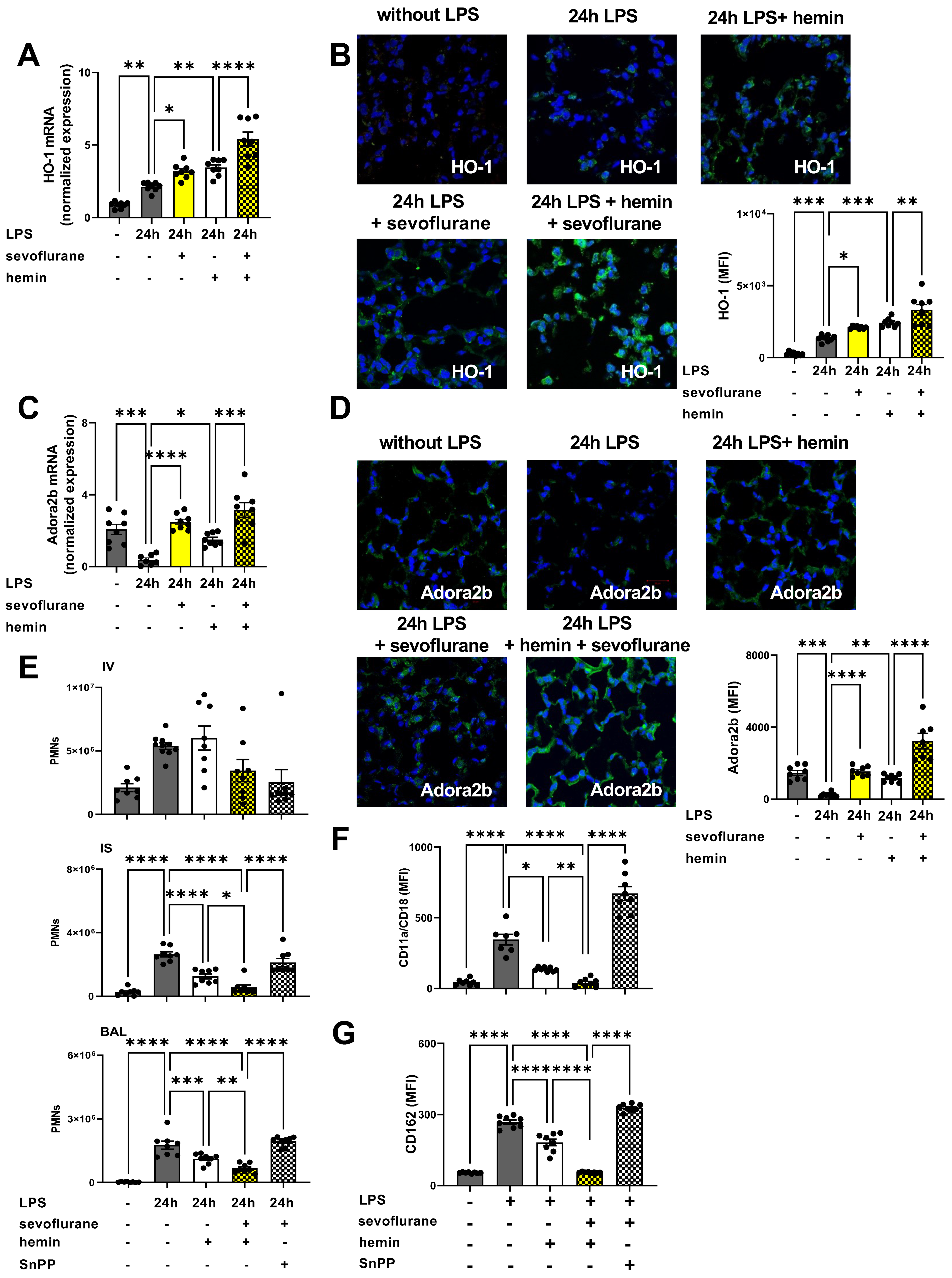 Cells 11 01094 g008 Cells 11 01094 g008