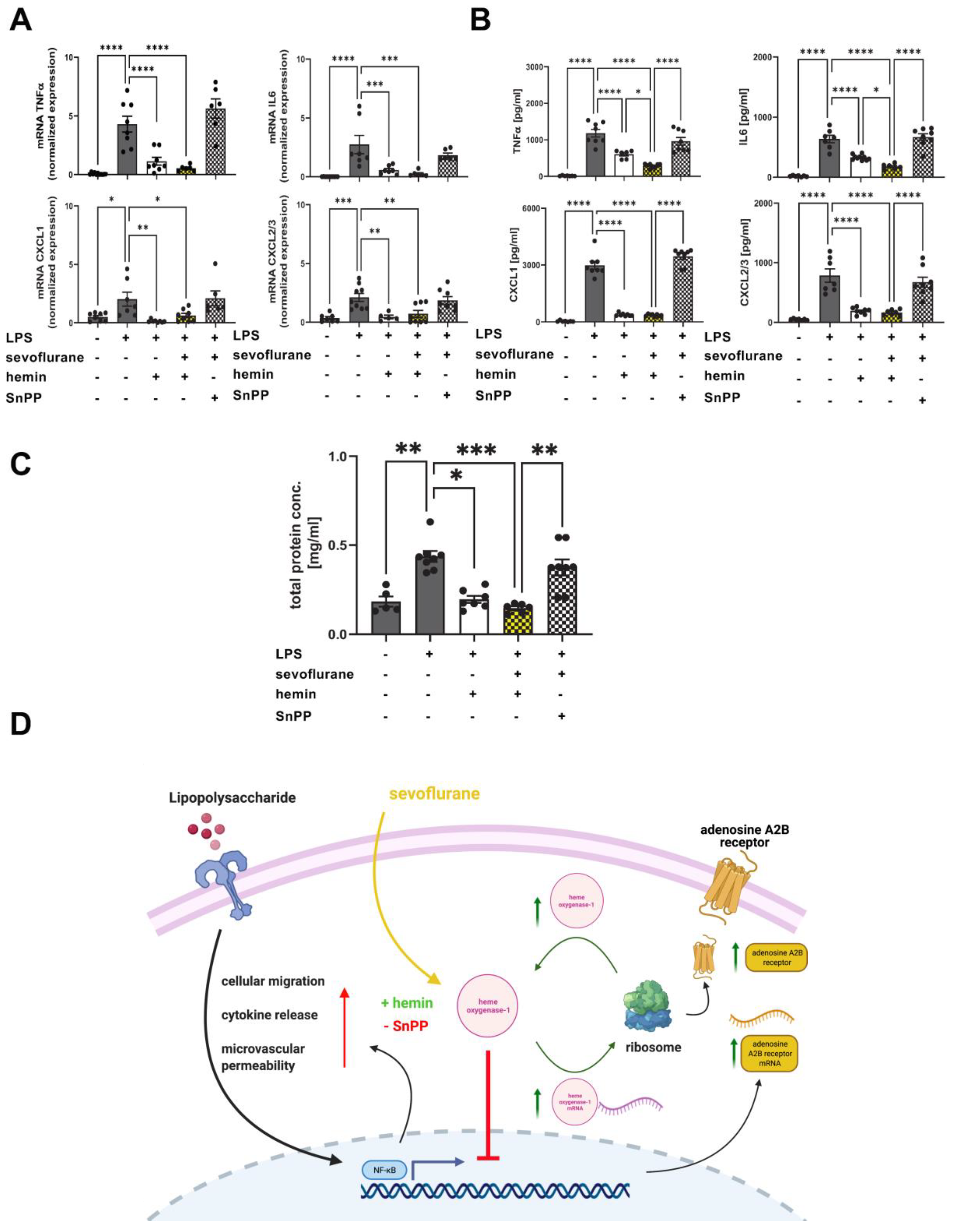 Cells 11 01094 g009 Cells 11 01094 g009