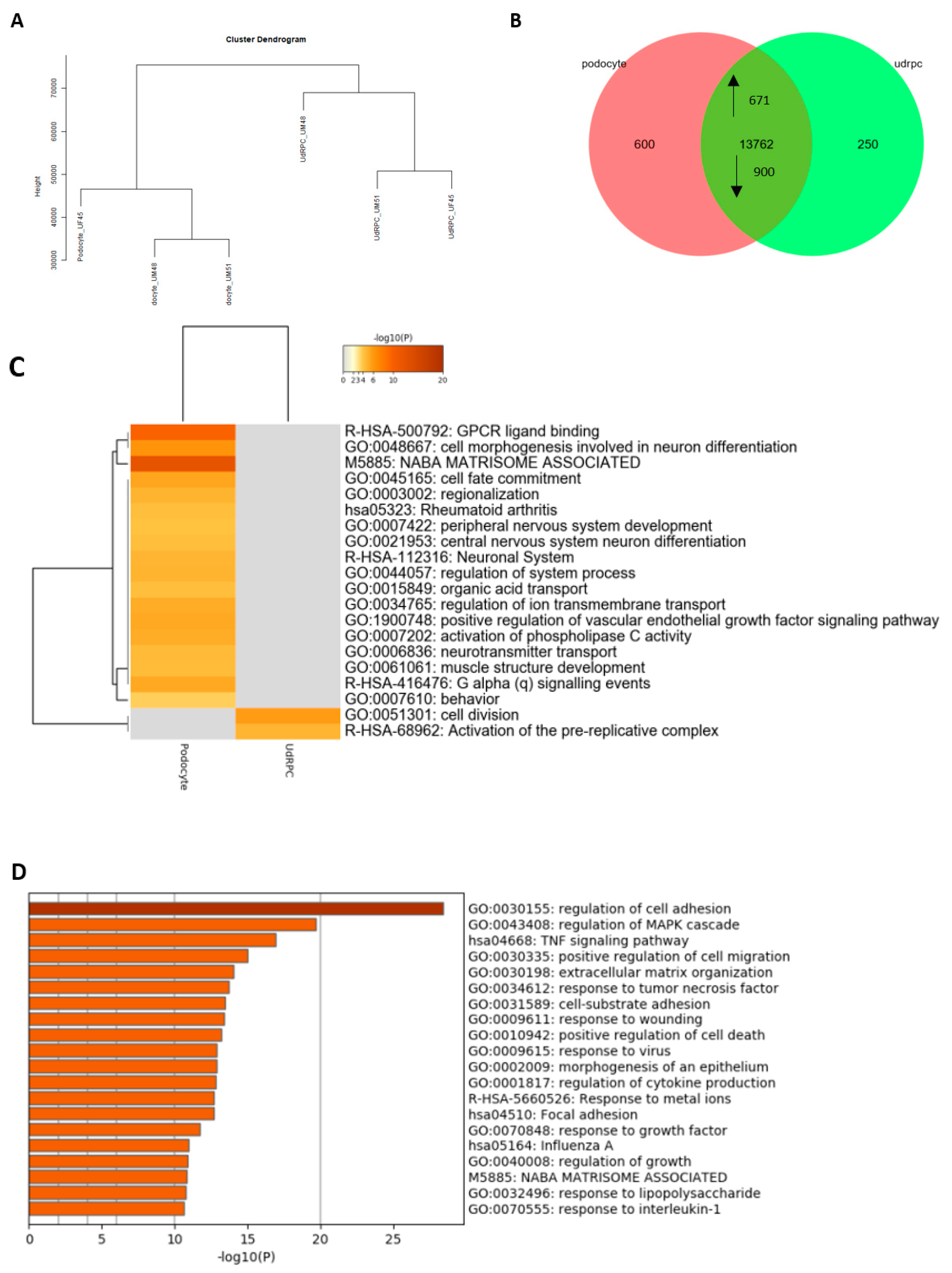 Cells 11 01095 g003a
