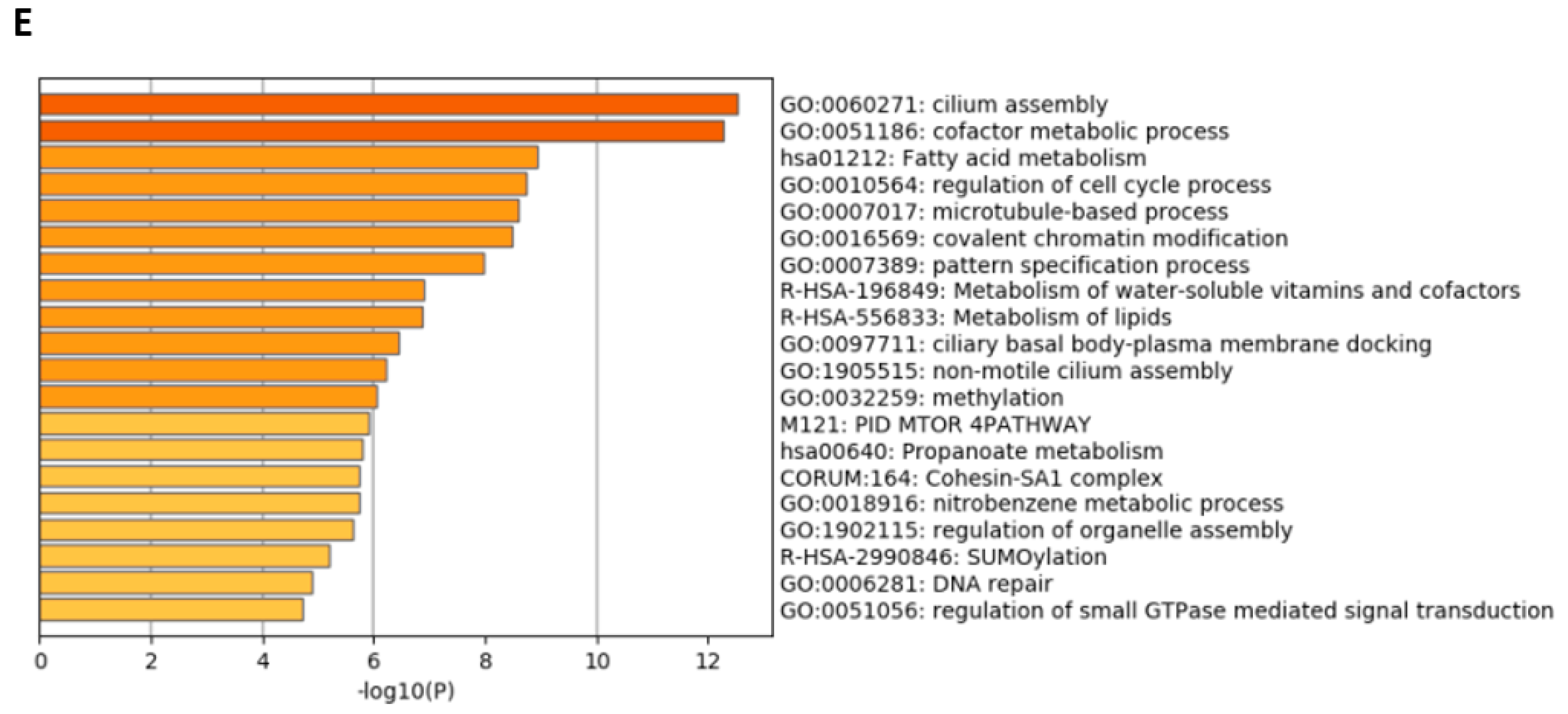 Cells 11 01095 g003b