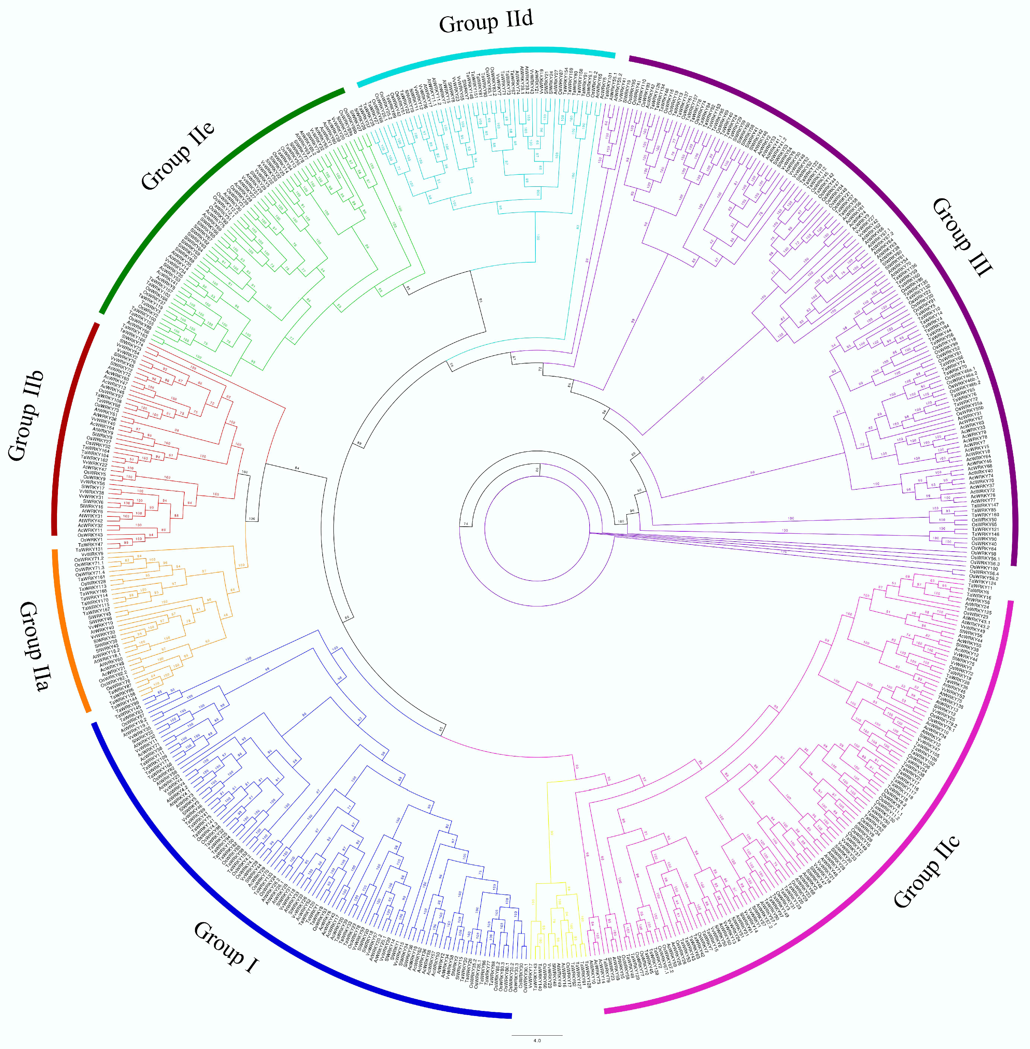 Cells 11 01100 g003 550