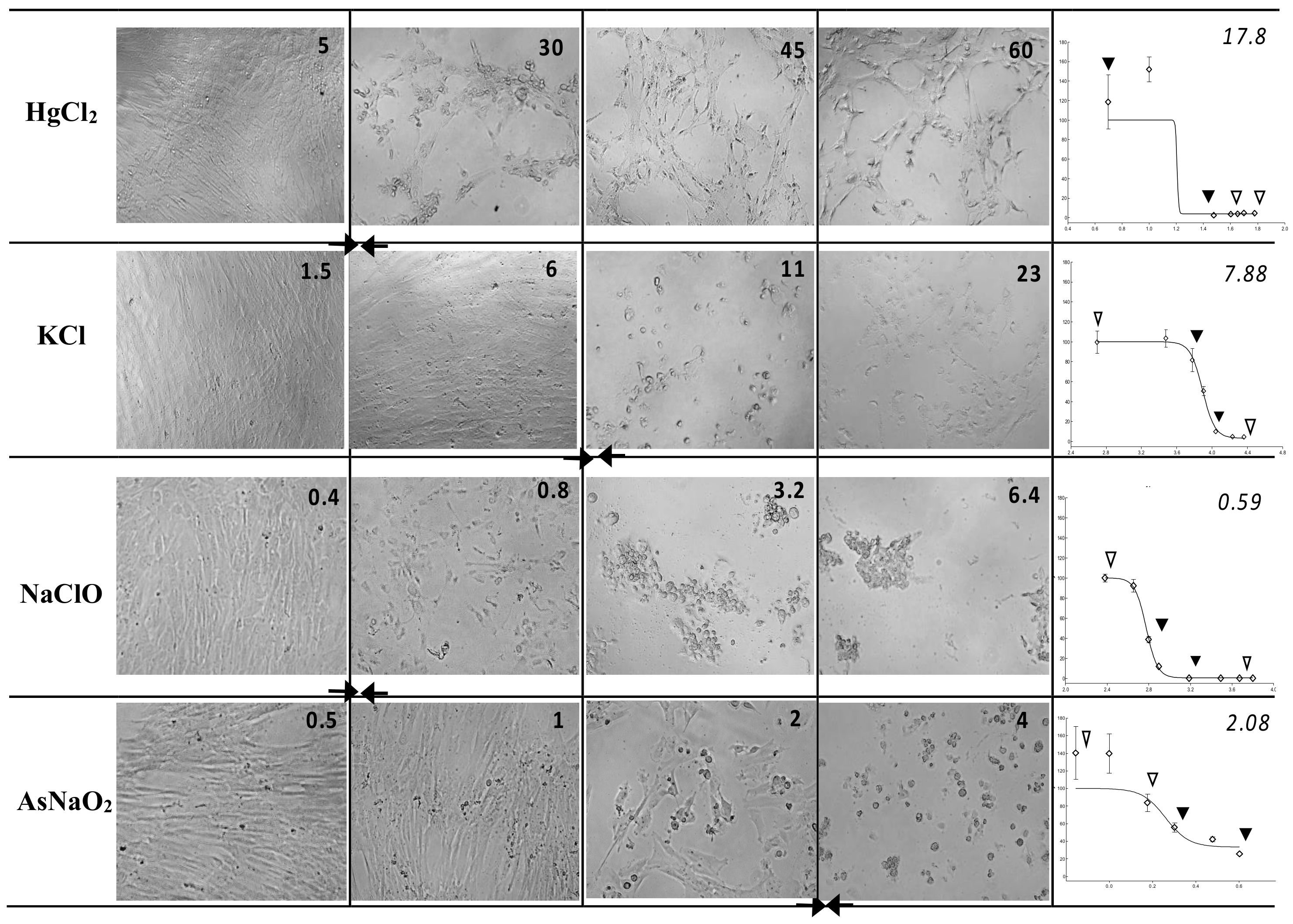 Cells 11 01102 g001 550