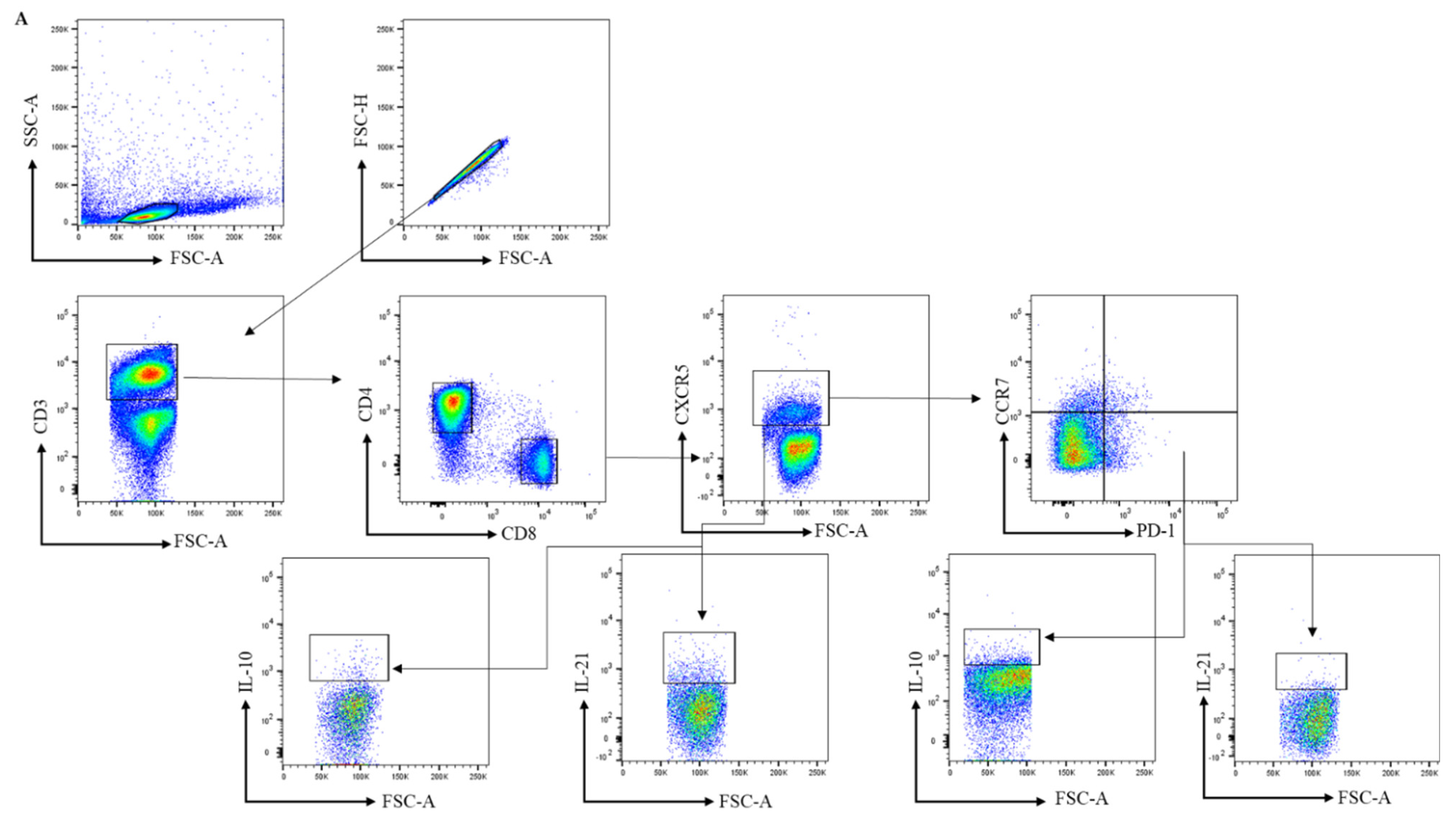 Cells 11 01104 g001a