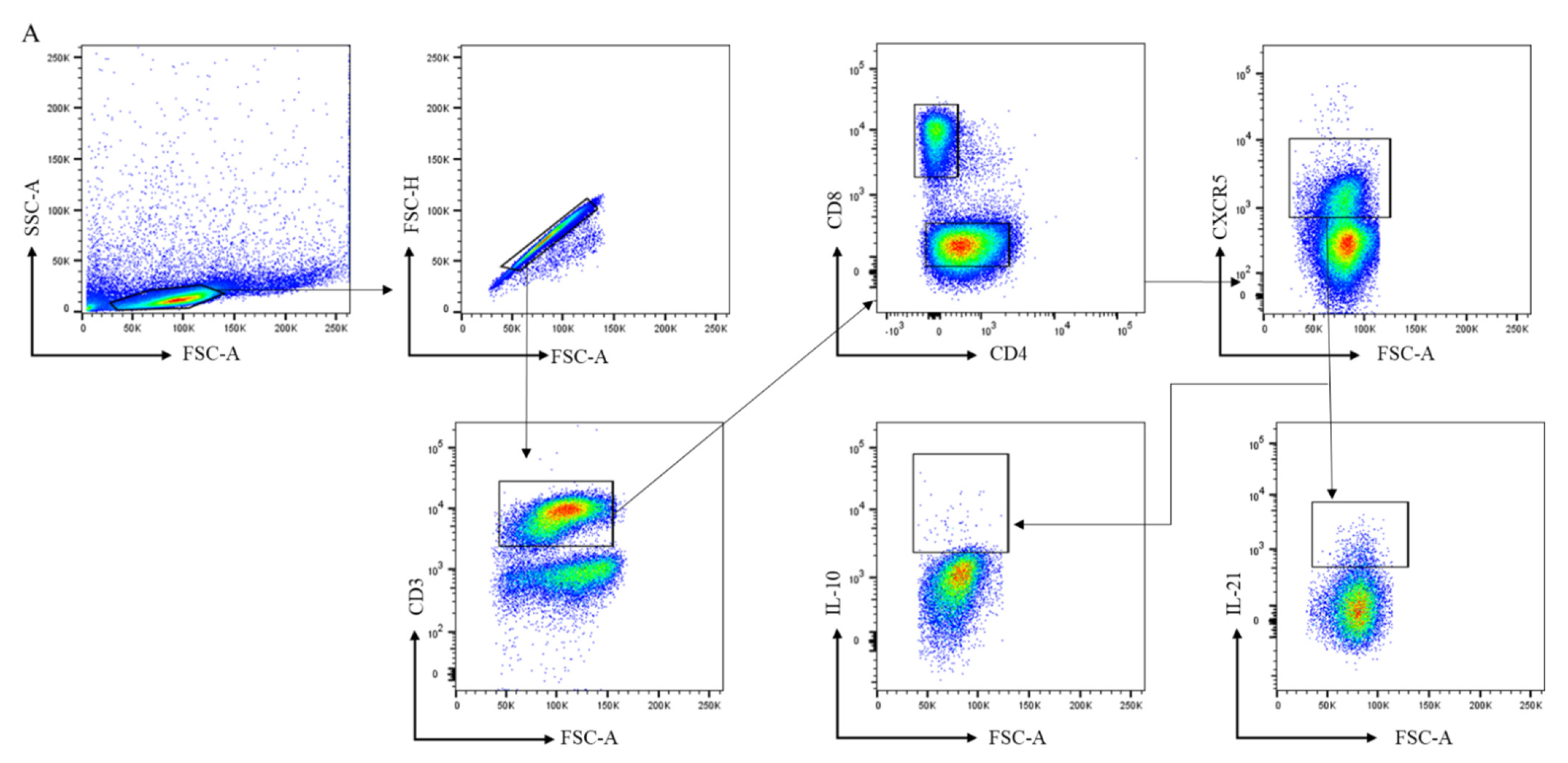 Cells 11 01104 g002a