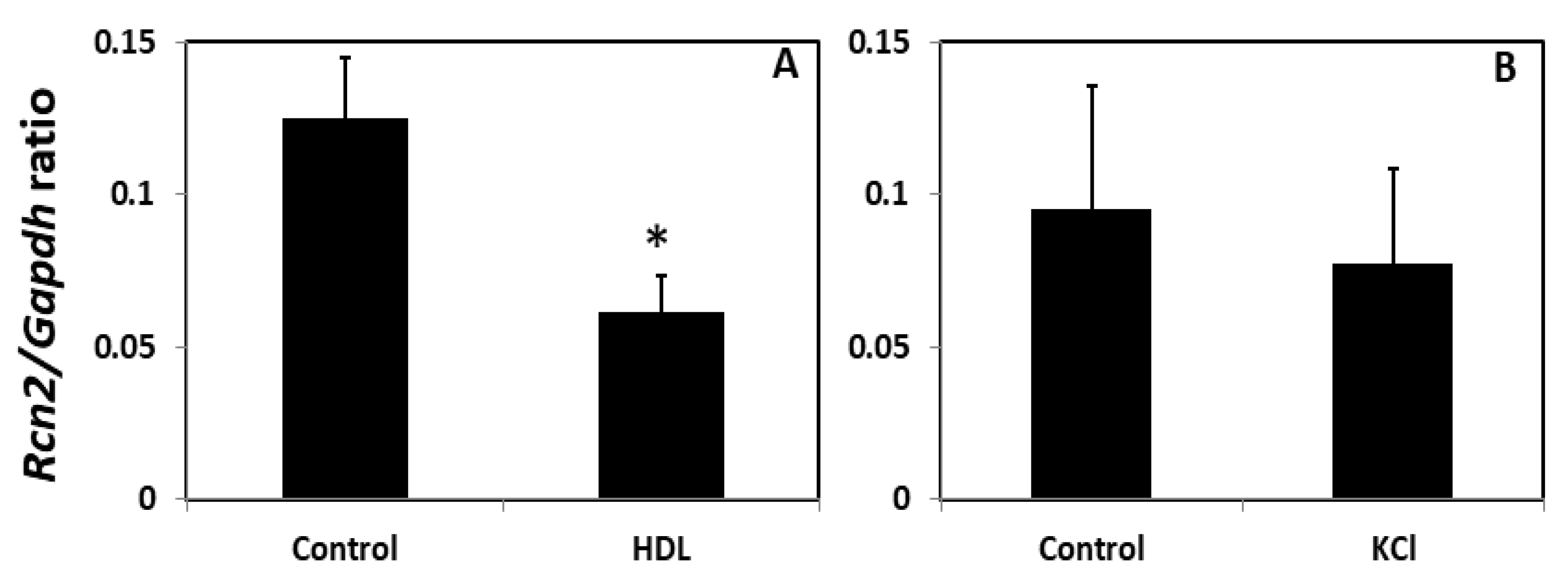 Cells 11 01107 g006 550