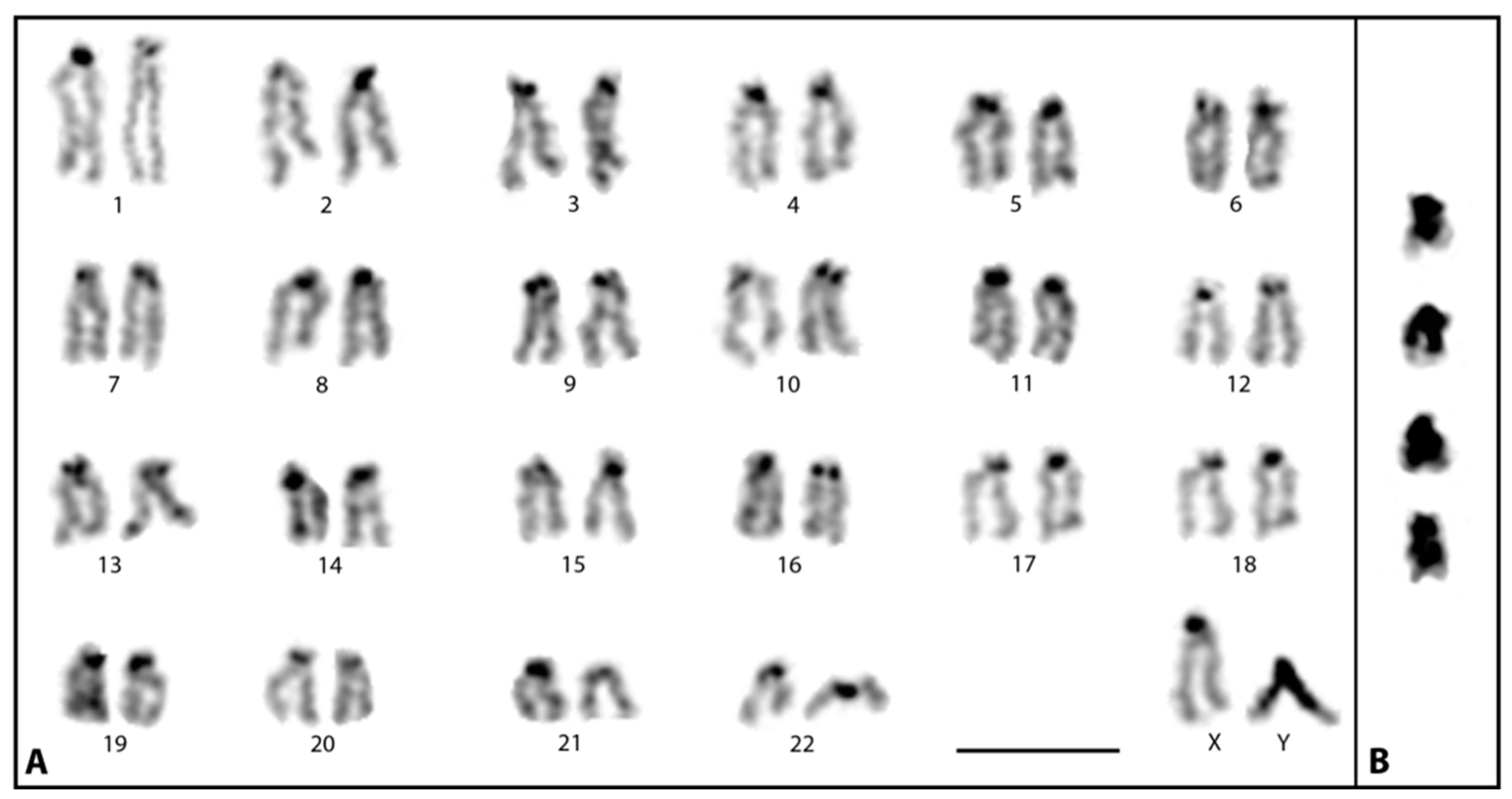 Cells 11 01118 g002 550