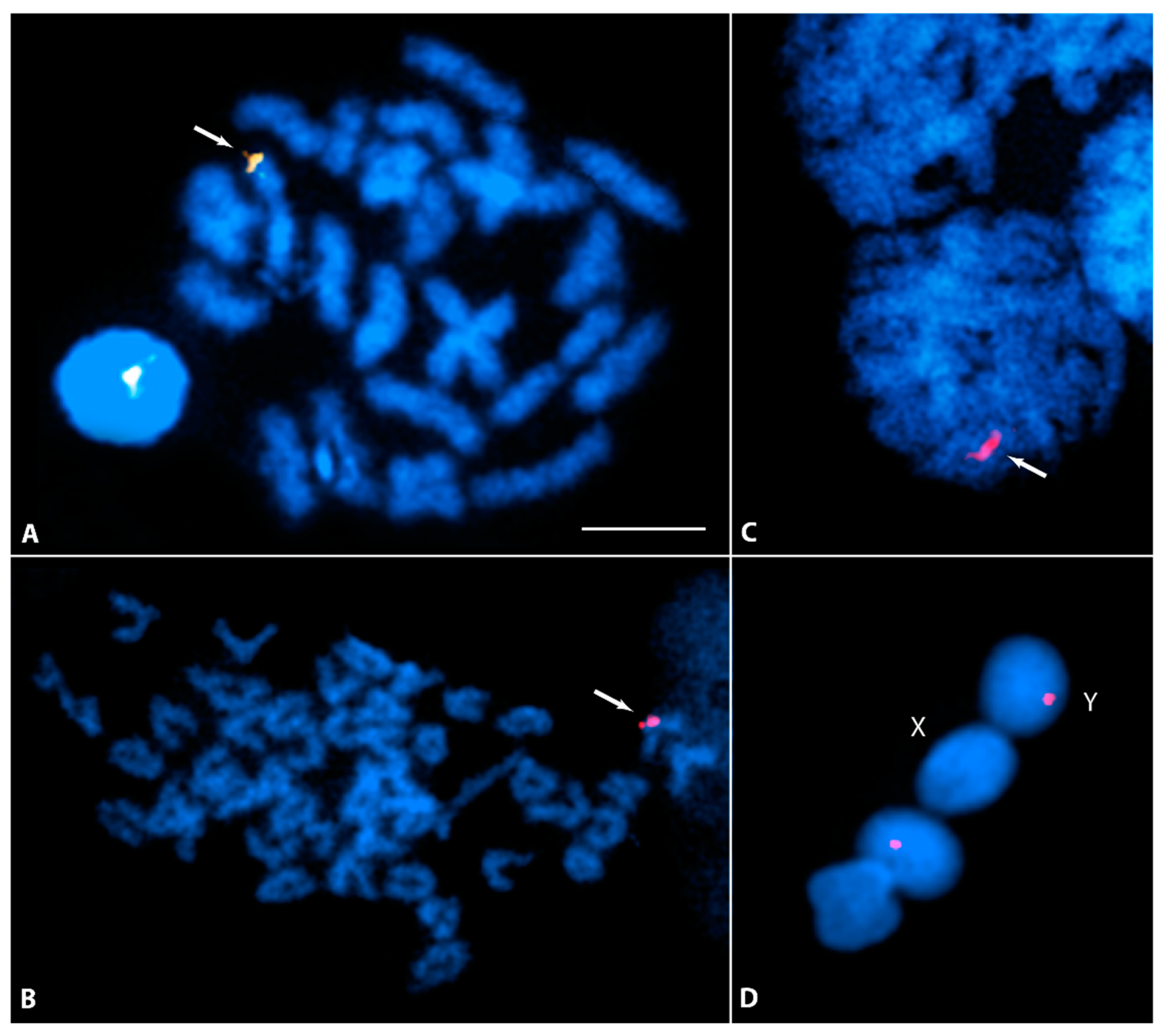 Cells 11 01118 g005 550