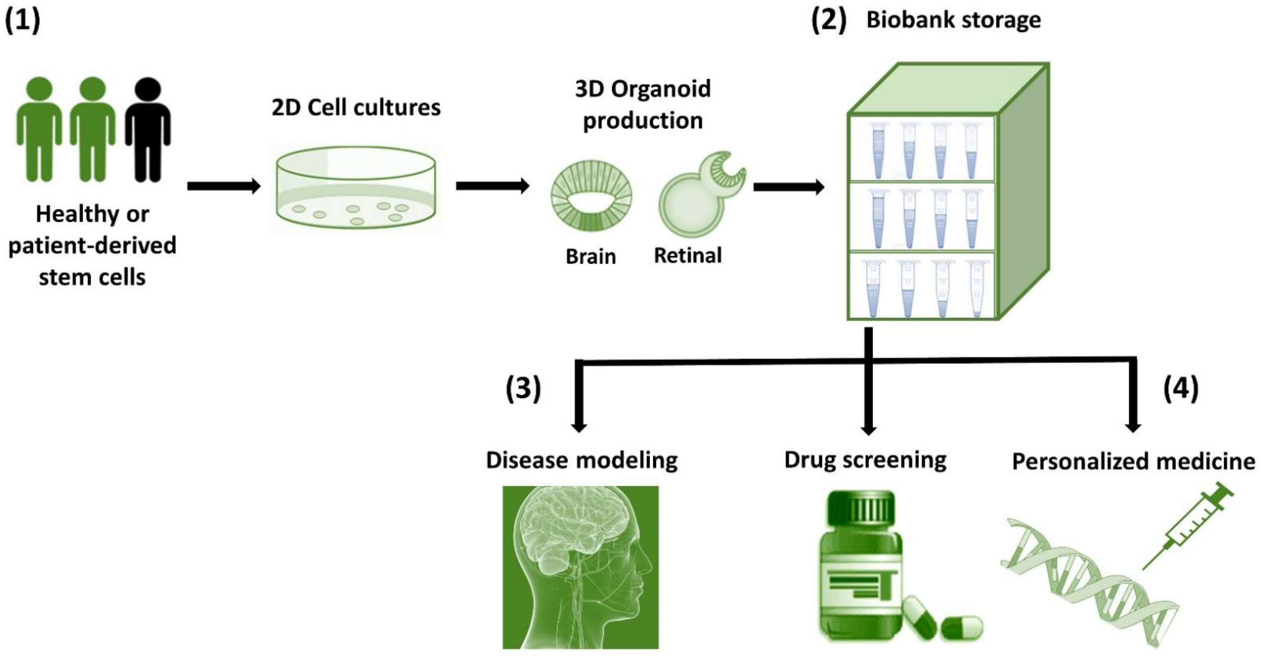 Cells 11 01120 g001 Cells 11 01120 g001
