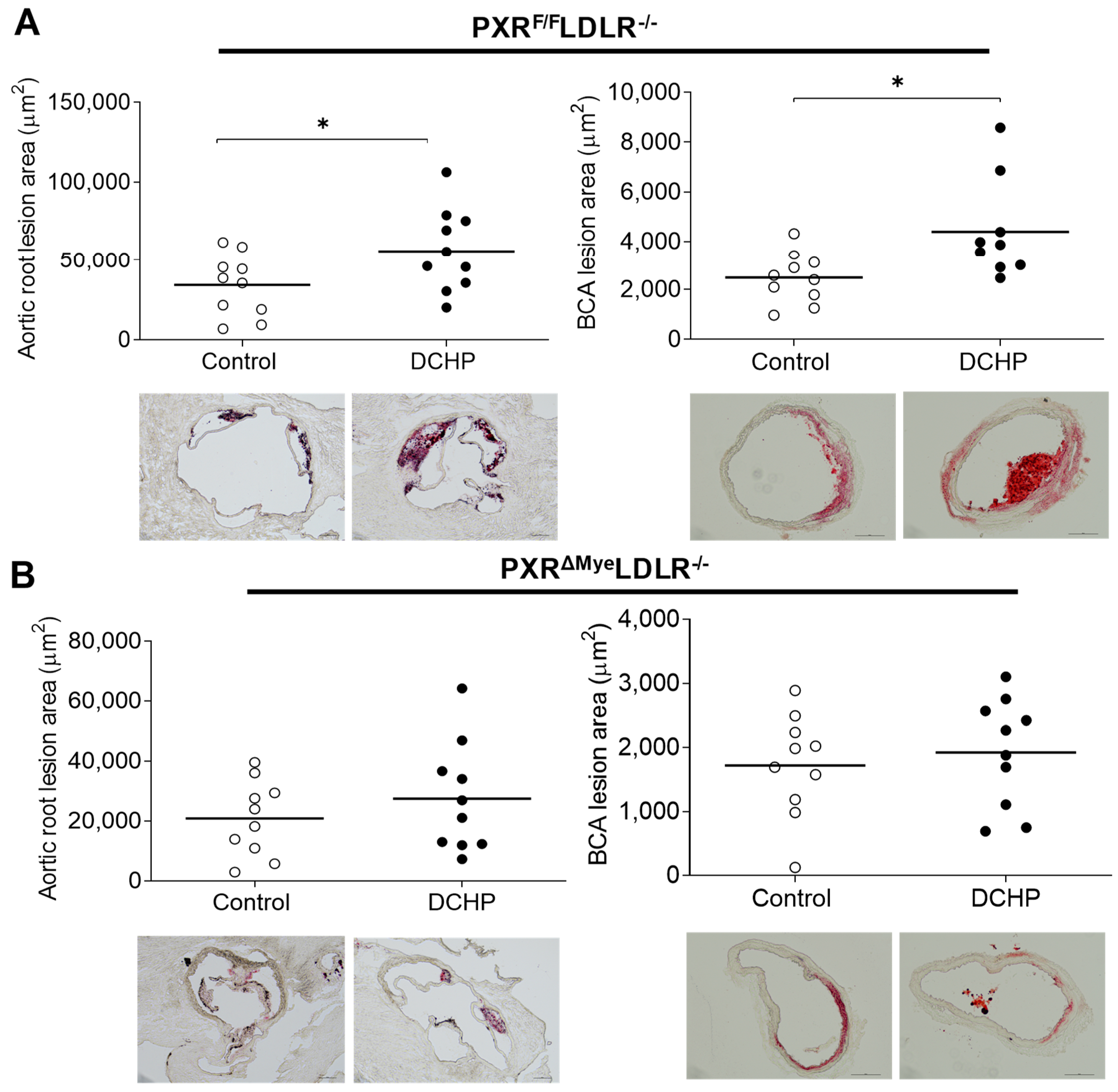 Cells 11 01125 g002 550