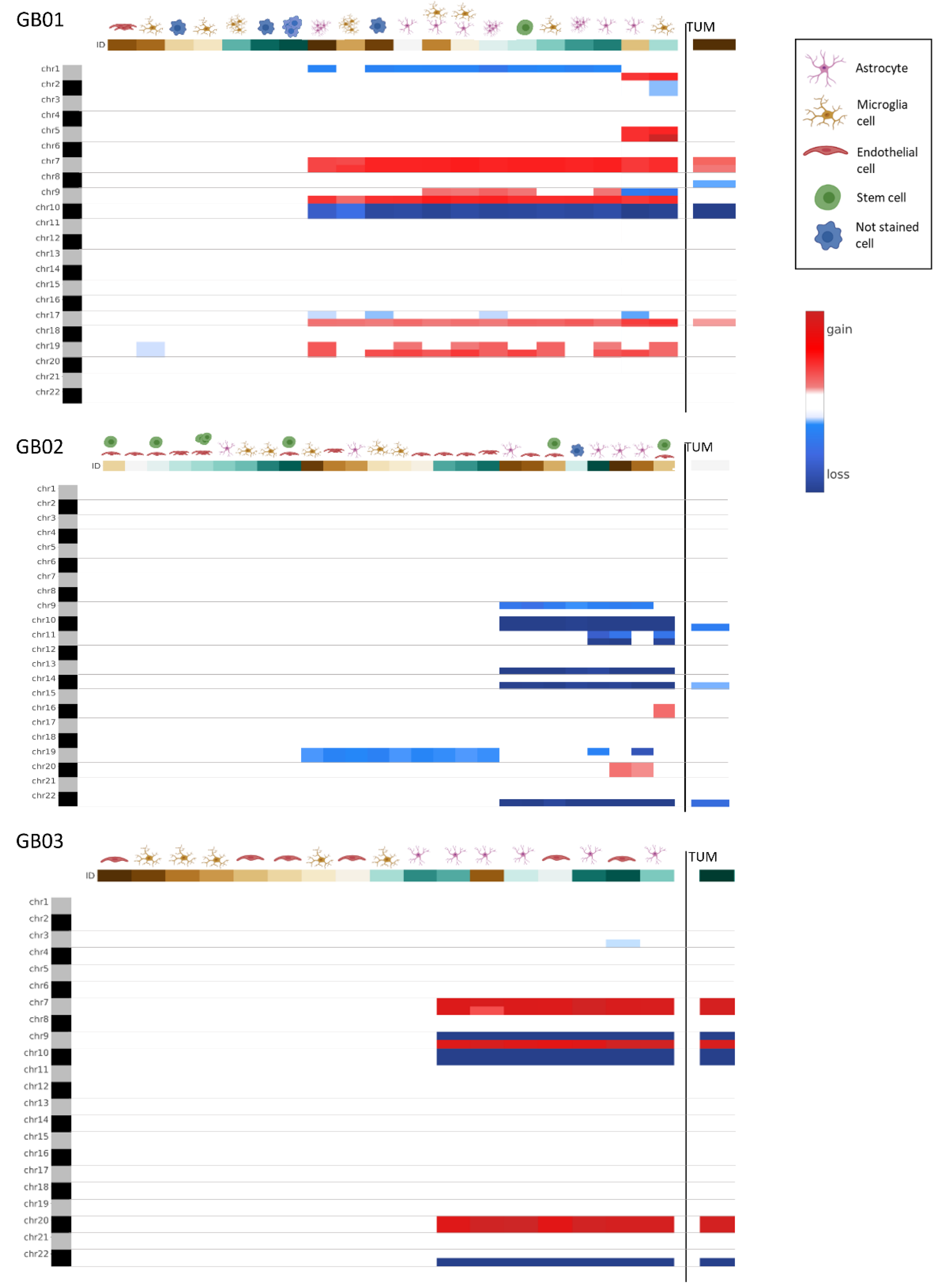 Cells 11 01127 g006 550