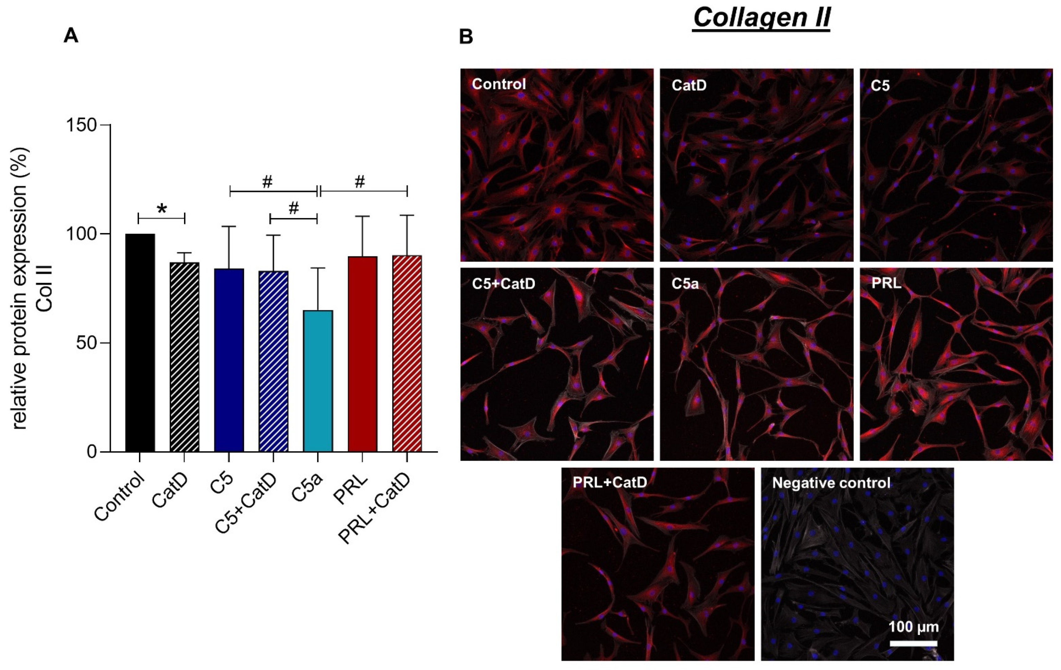 Cells 11 01134 g005 Cells 11 01134 g005