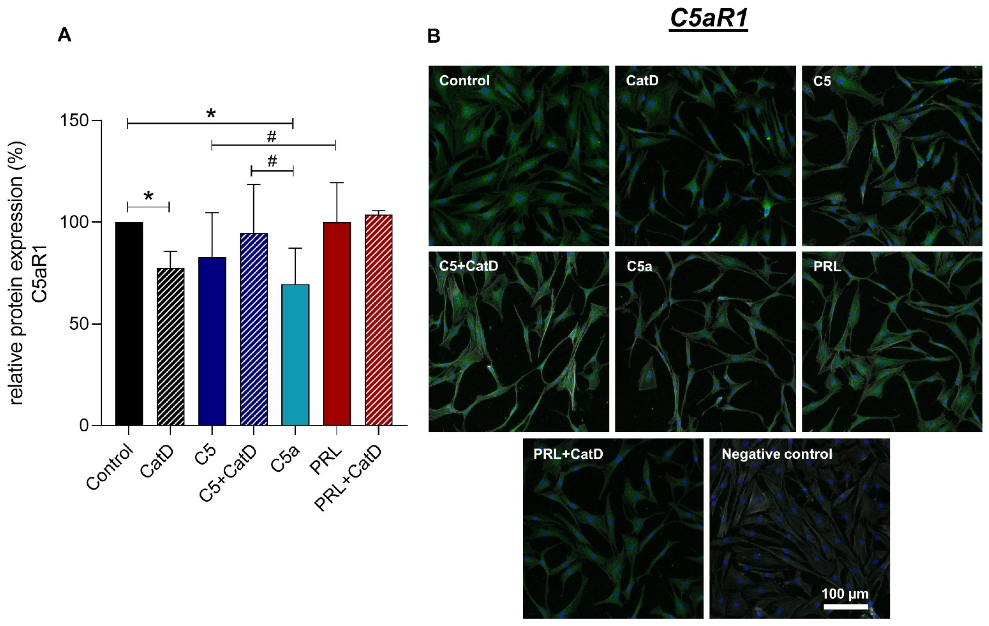 Cells 11 01134 g006 Cells 11 01134 g006