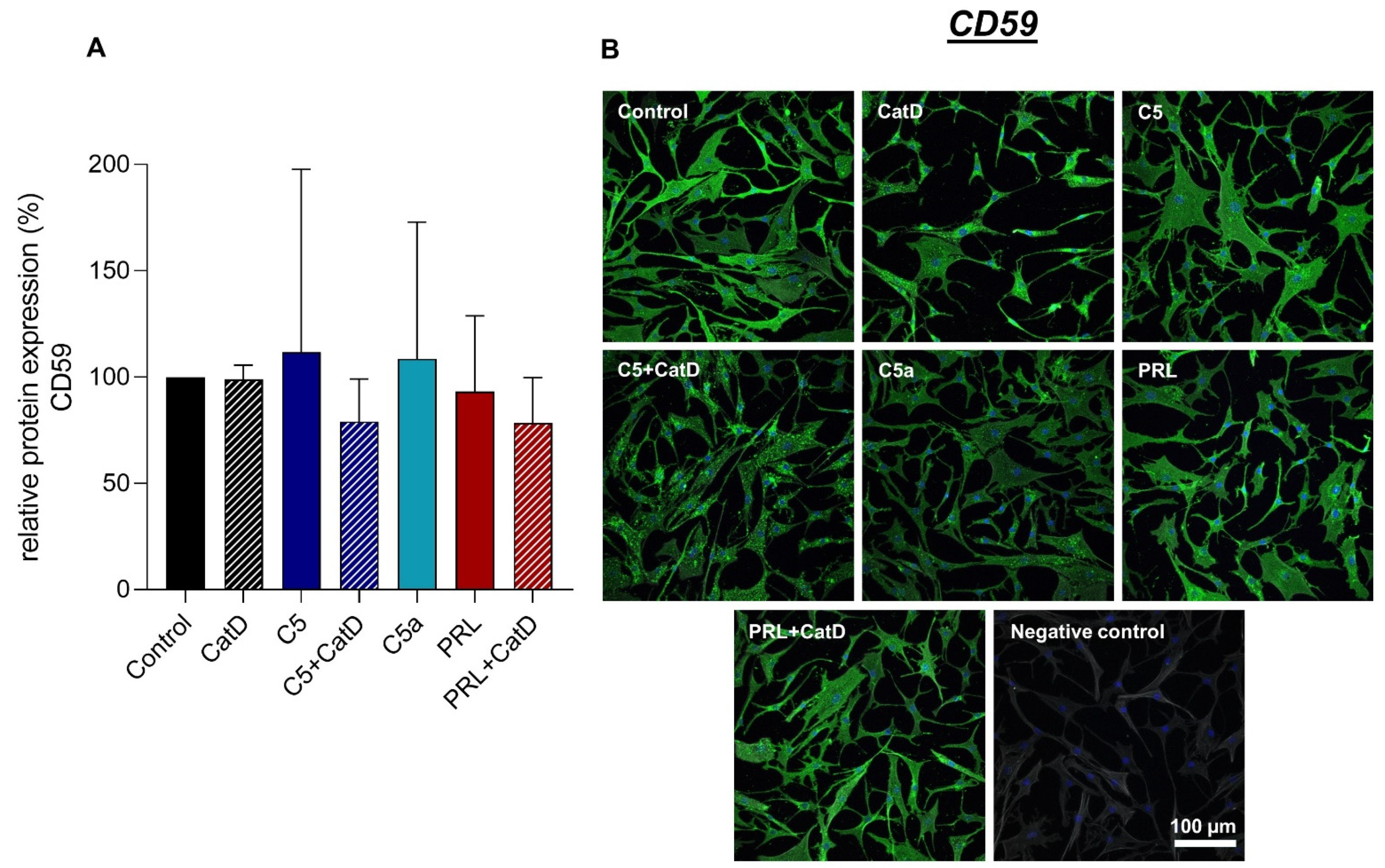 Cells 11 01134 g007 Cells 11 01134 g007