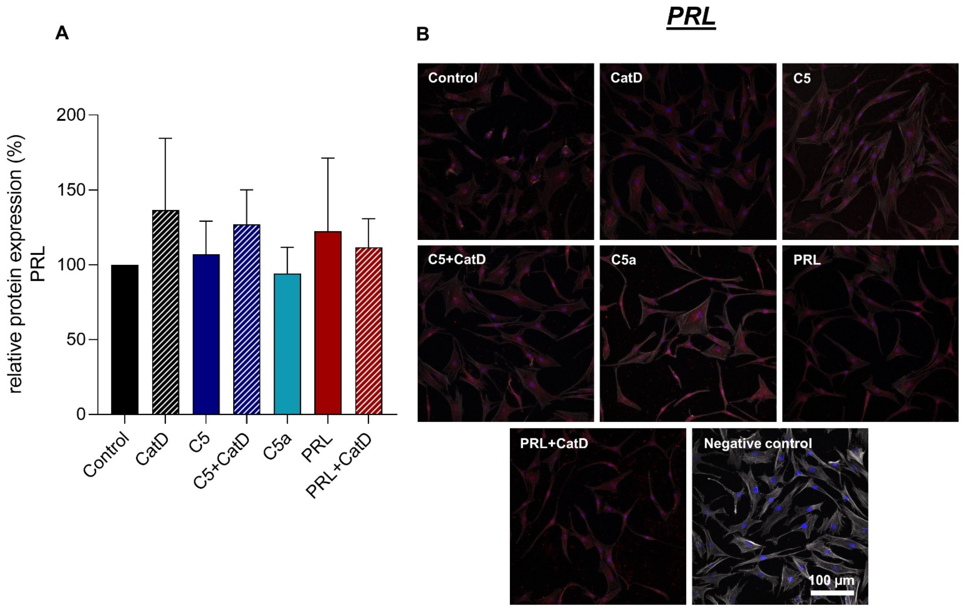 Cells 11 01134 g008 Cells 11 01134 g008