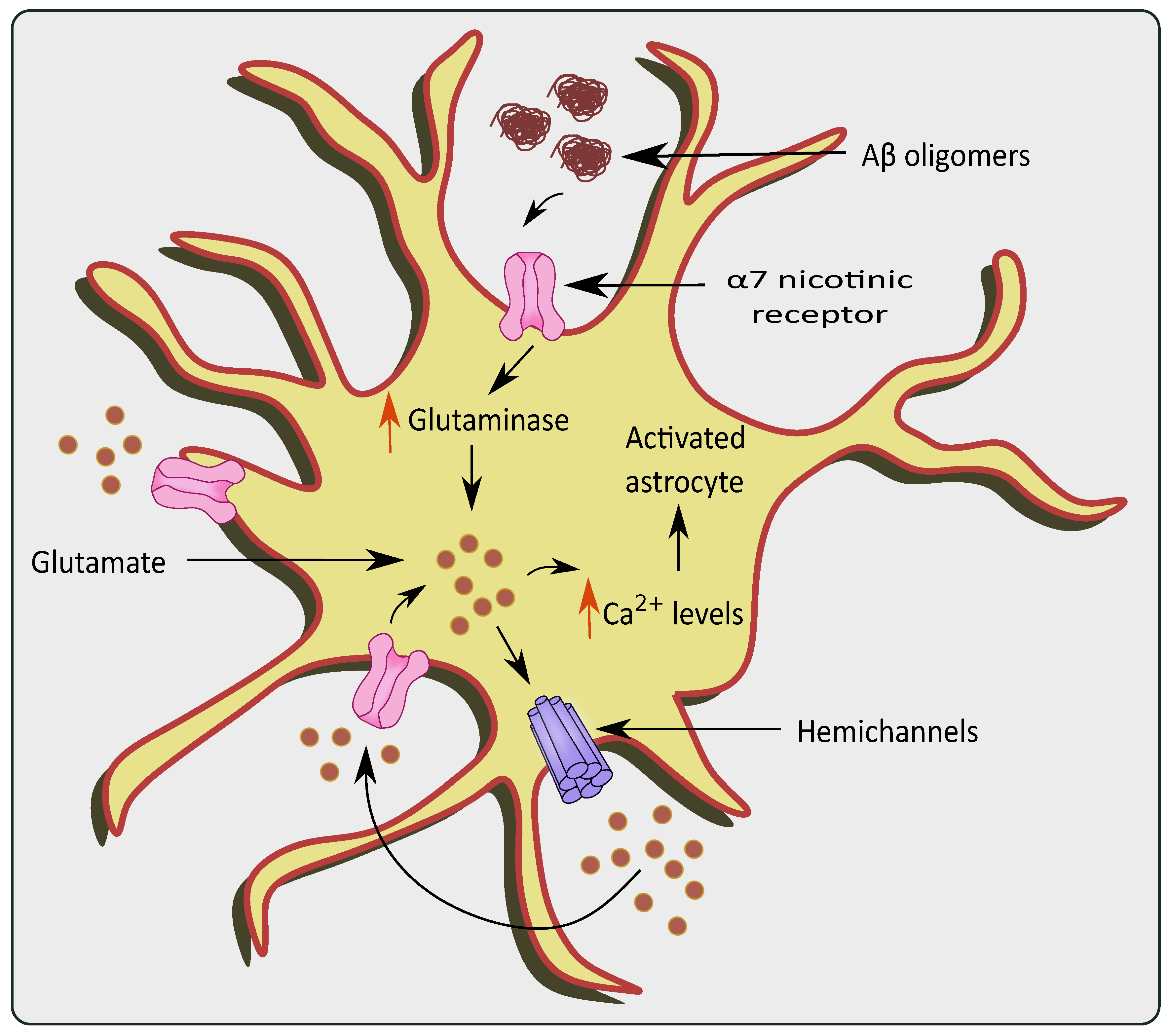 Cells 11 01139 g003 550