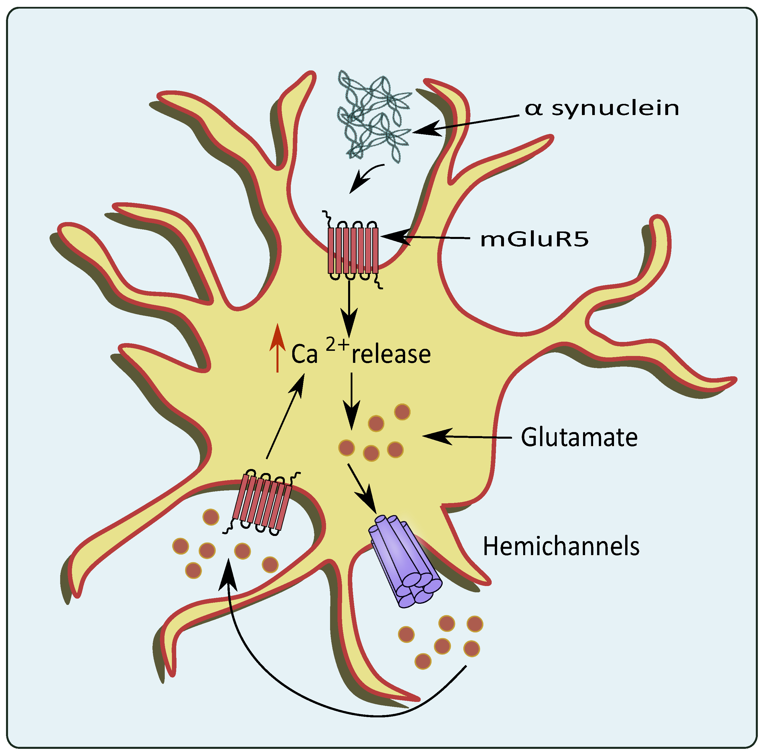 Cells 11 01139 g004 550