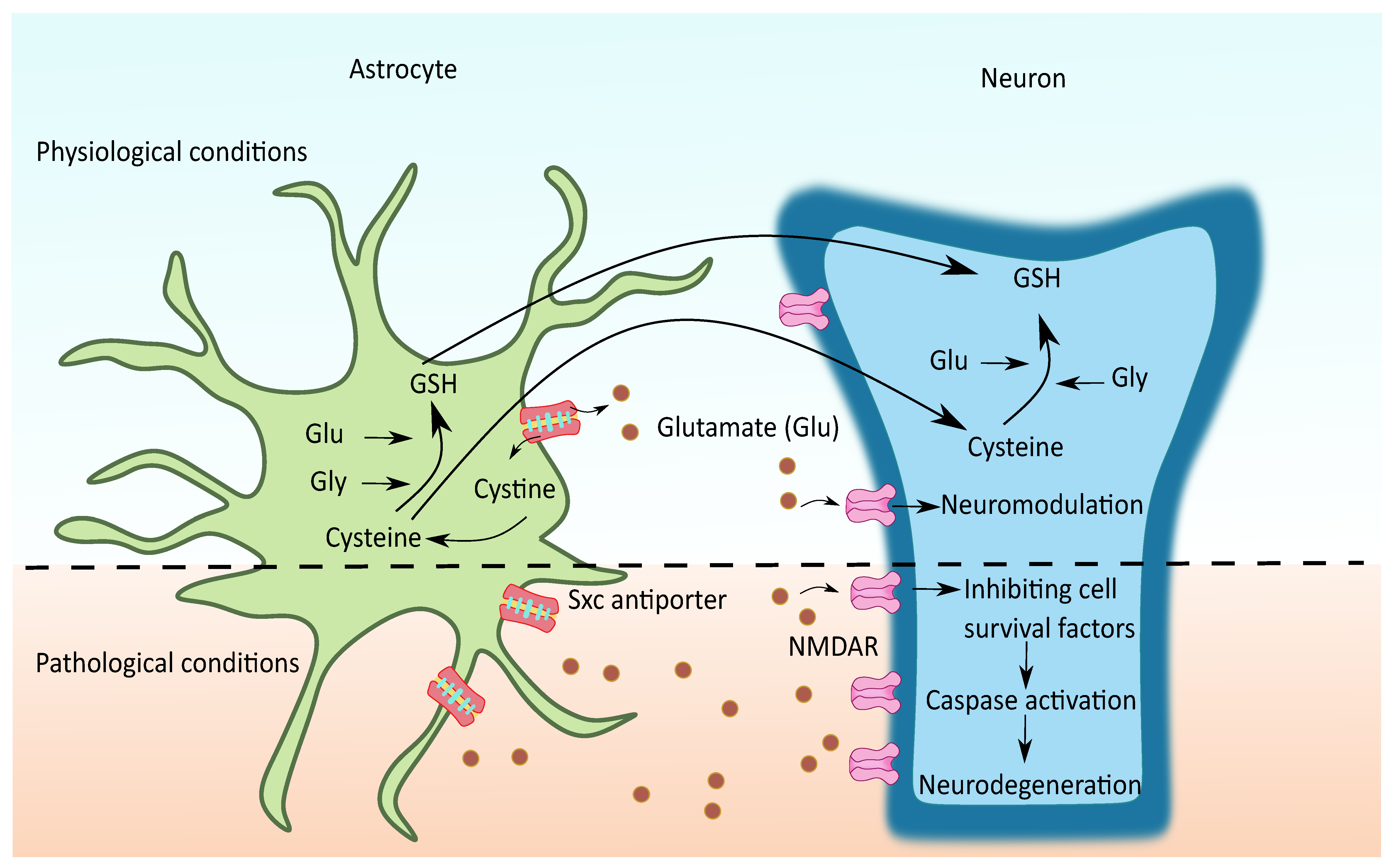 Cells 11 01139 g006 550