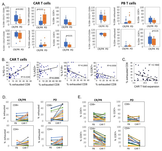 Molecular and Functional Signatures Associated with CAR T Cell ...