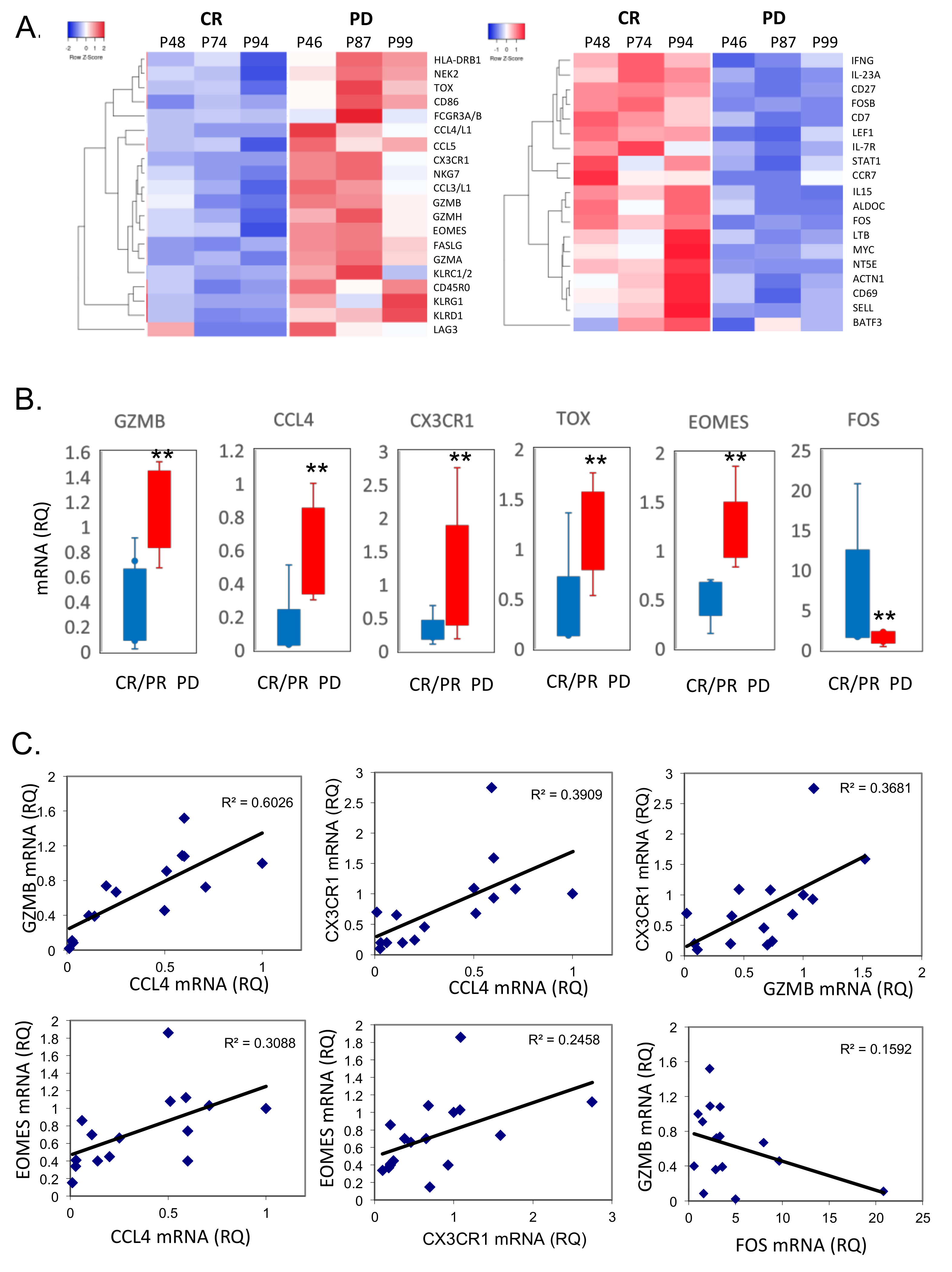Cells 11 01140 g003 550