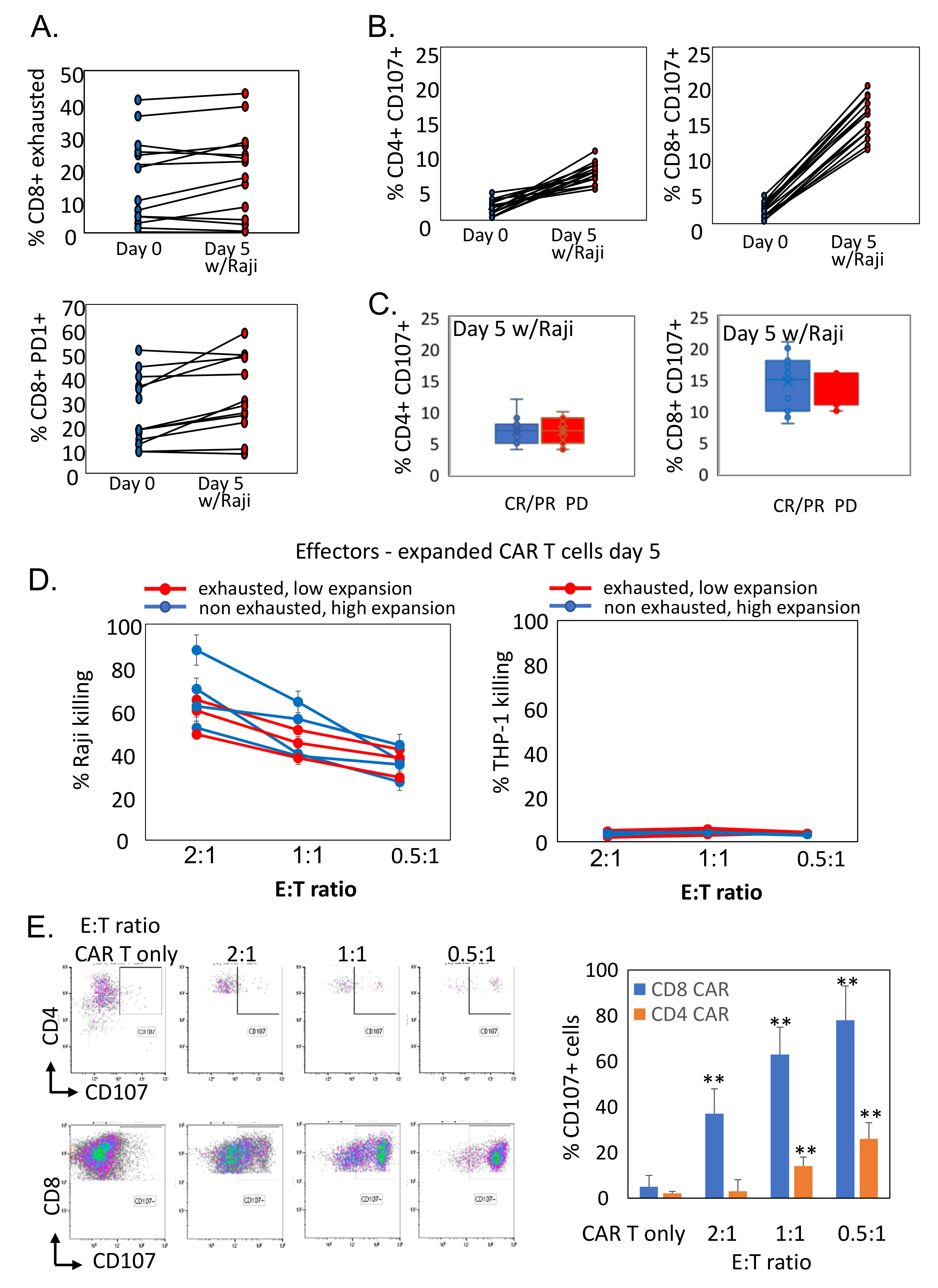 Cells 11 01140 g005 550