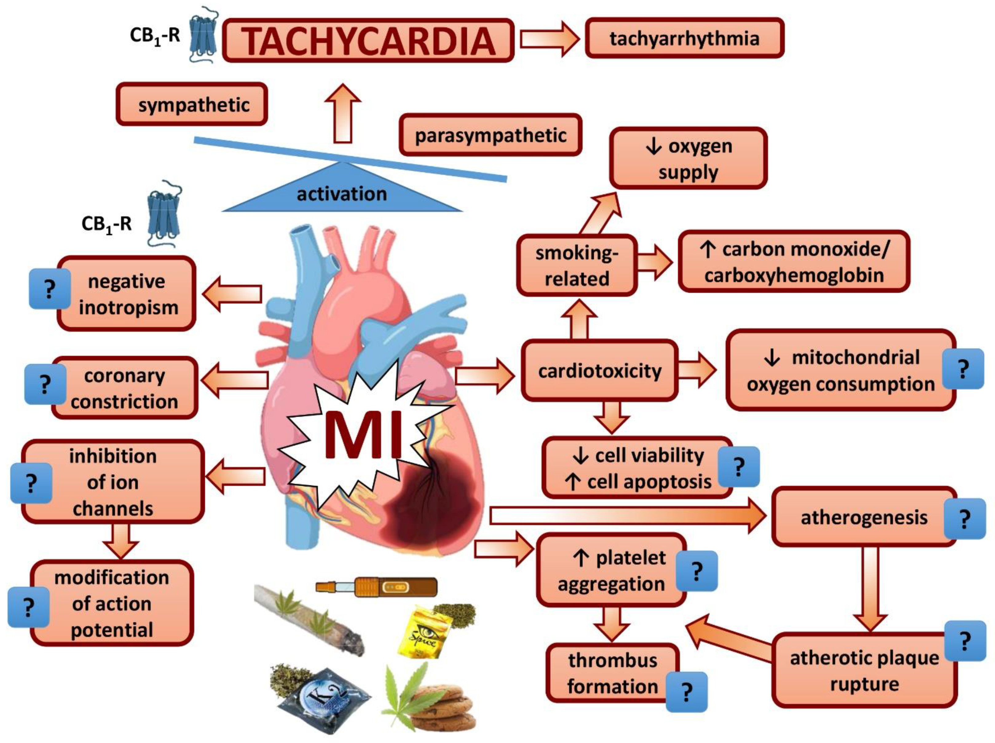 Cells 11 01142 g002 Cells 11 01142 g002