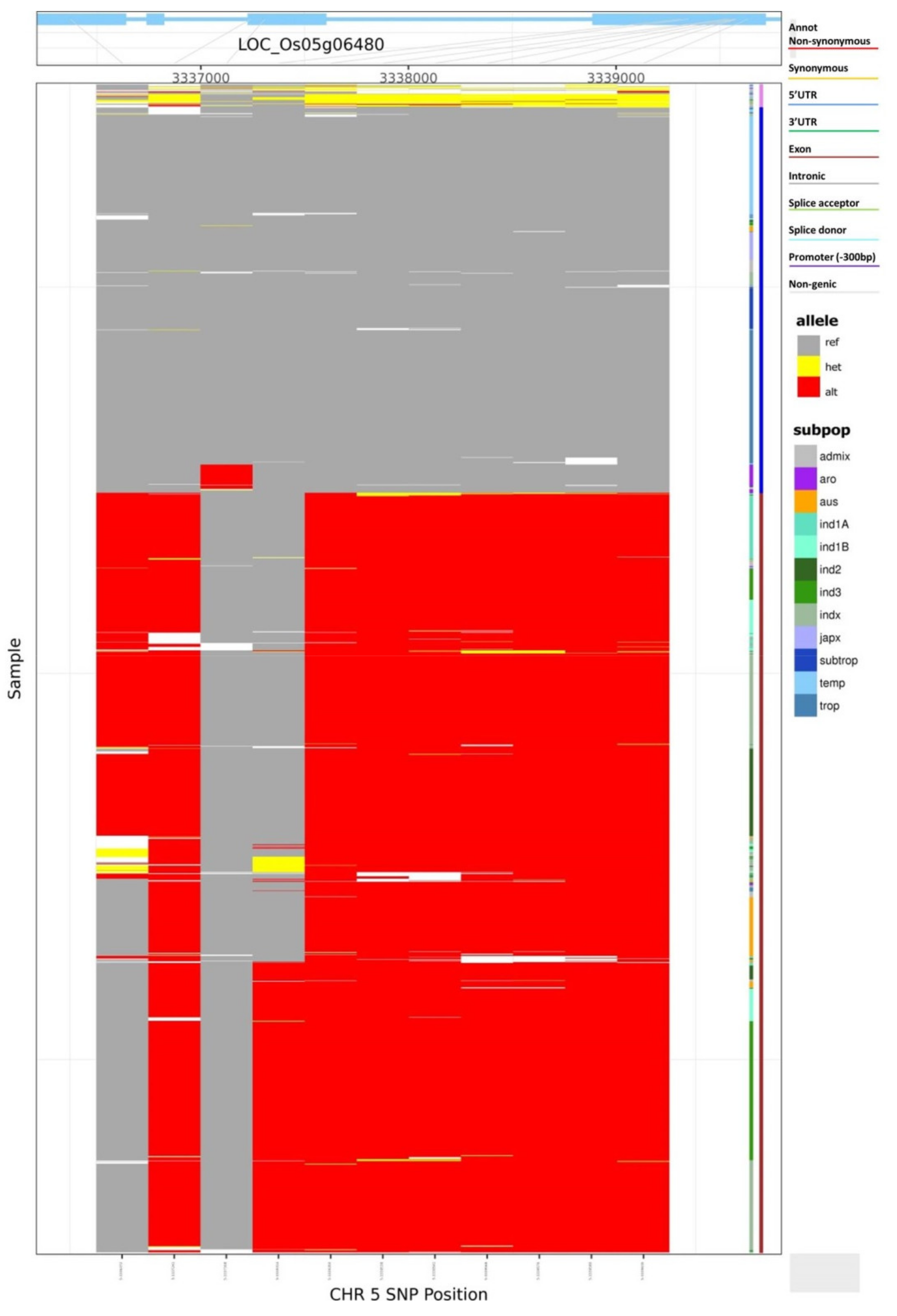 Cells 11 01144 g001 550