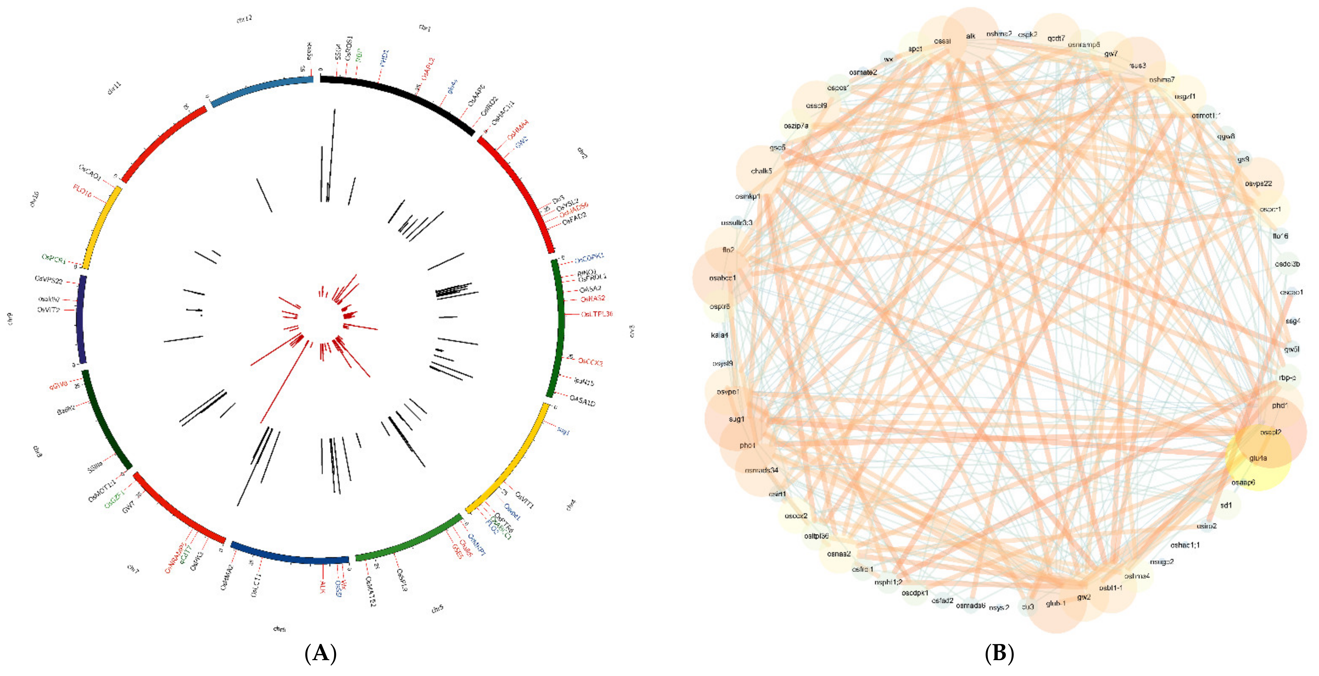 Cells 11 01144 g005 550