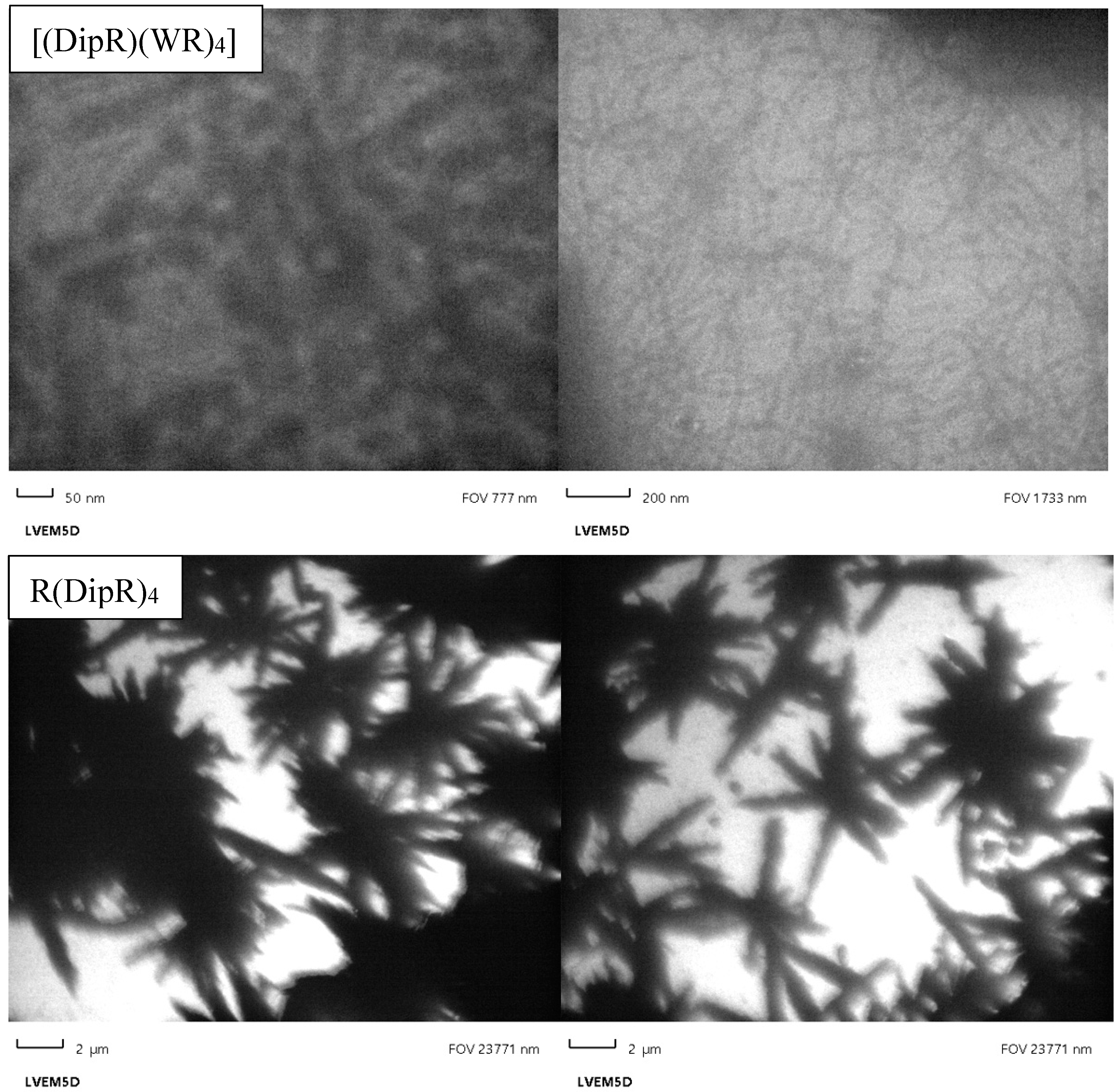 Cells 11 01156 g012a
