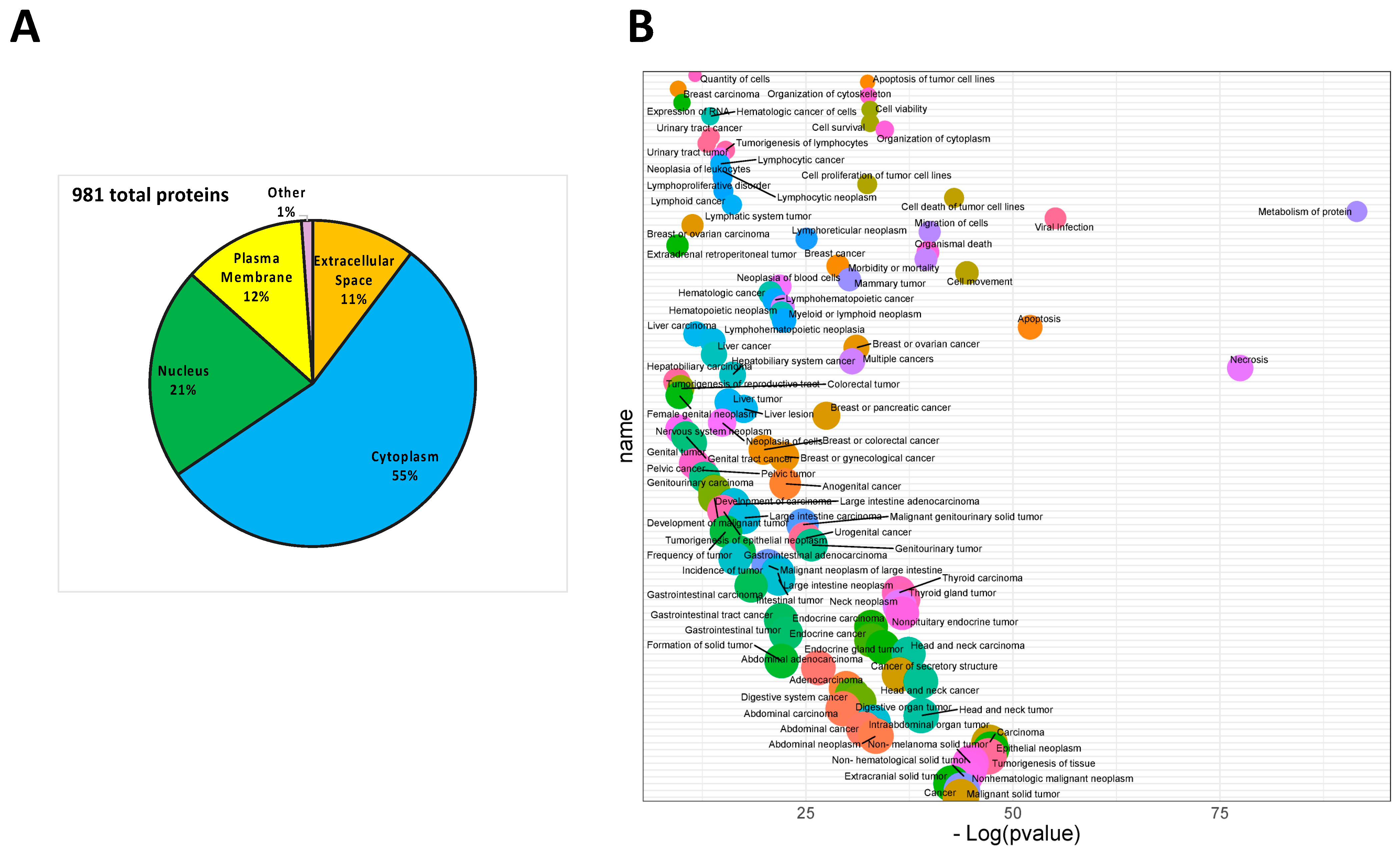 Cells 11 01160 g001 550