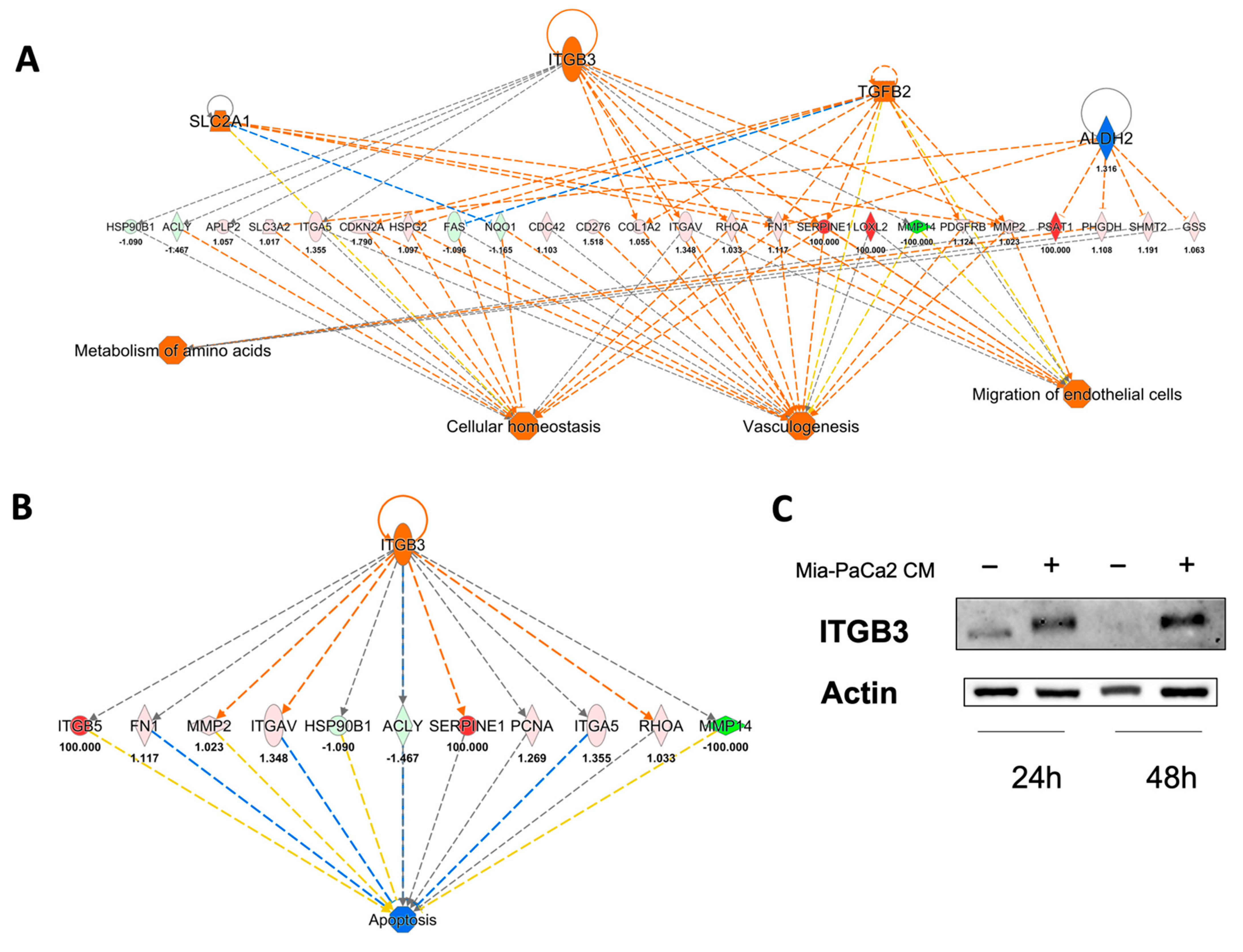 Cells 11 01160 g004 550