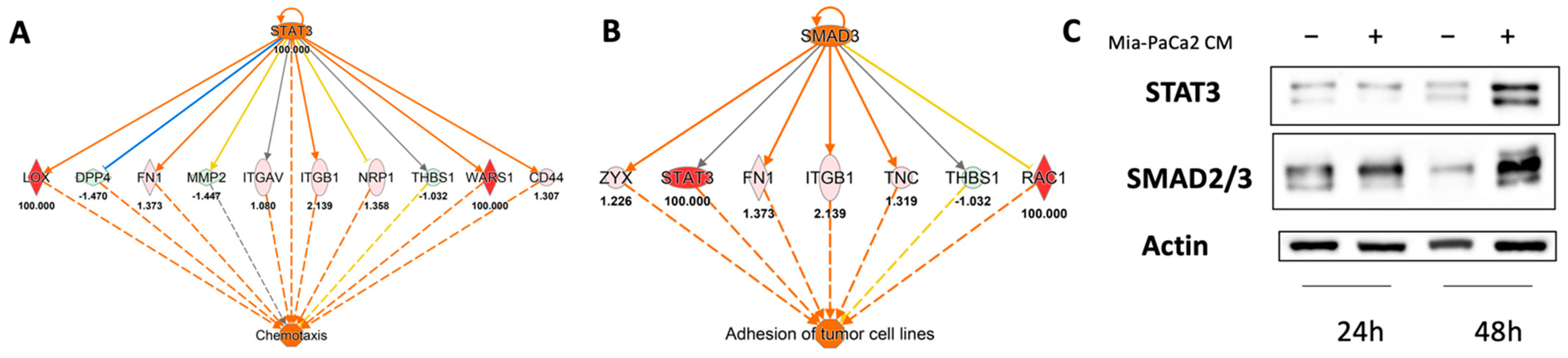 Cells 11 01160 g005 550