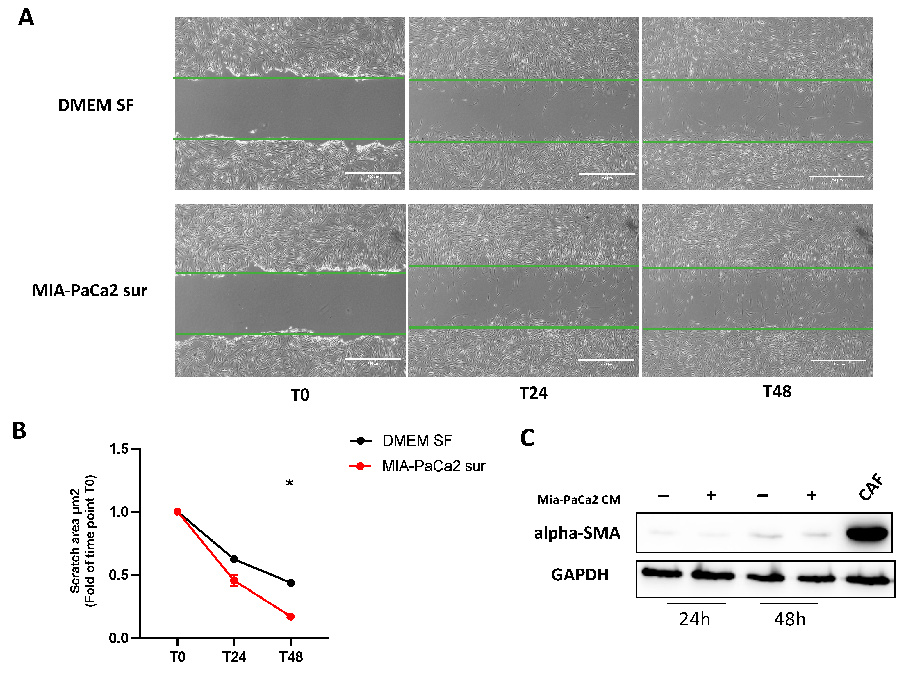 Cells 11 01160 g007 550