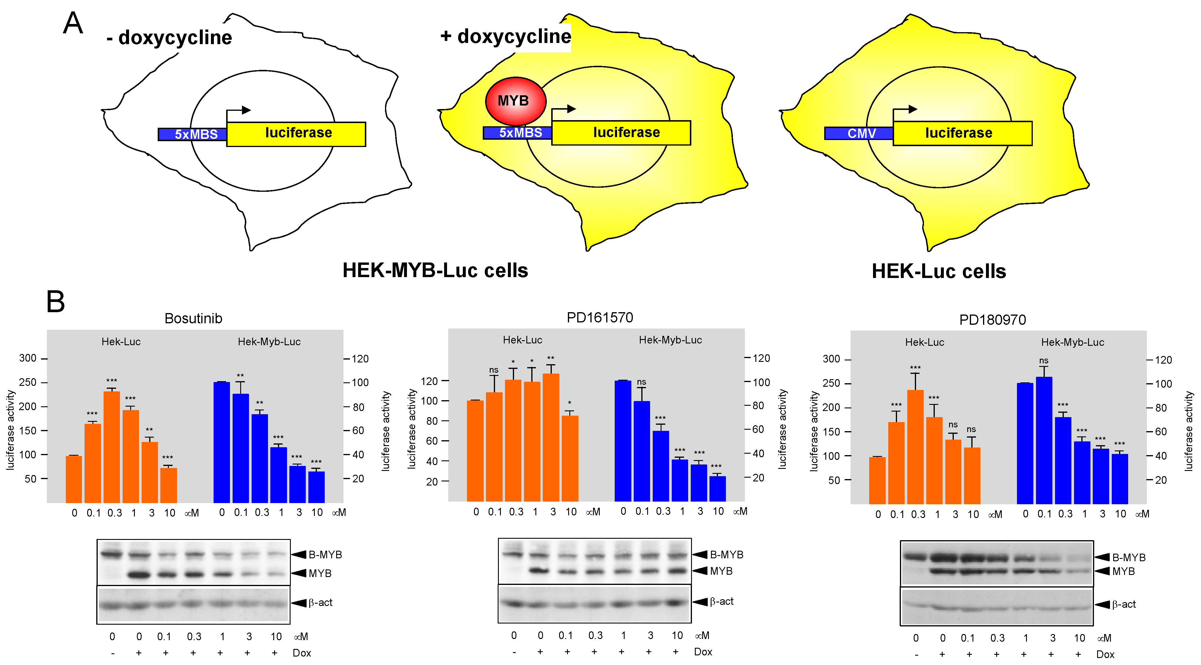 Cells 11 01162 g001 Cells 11 01162 g001