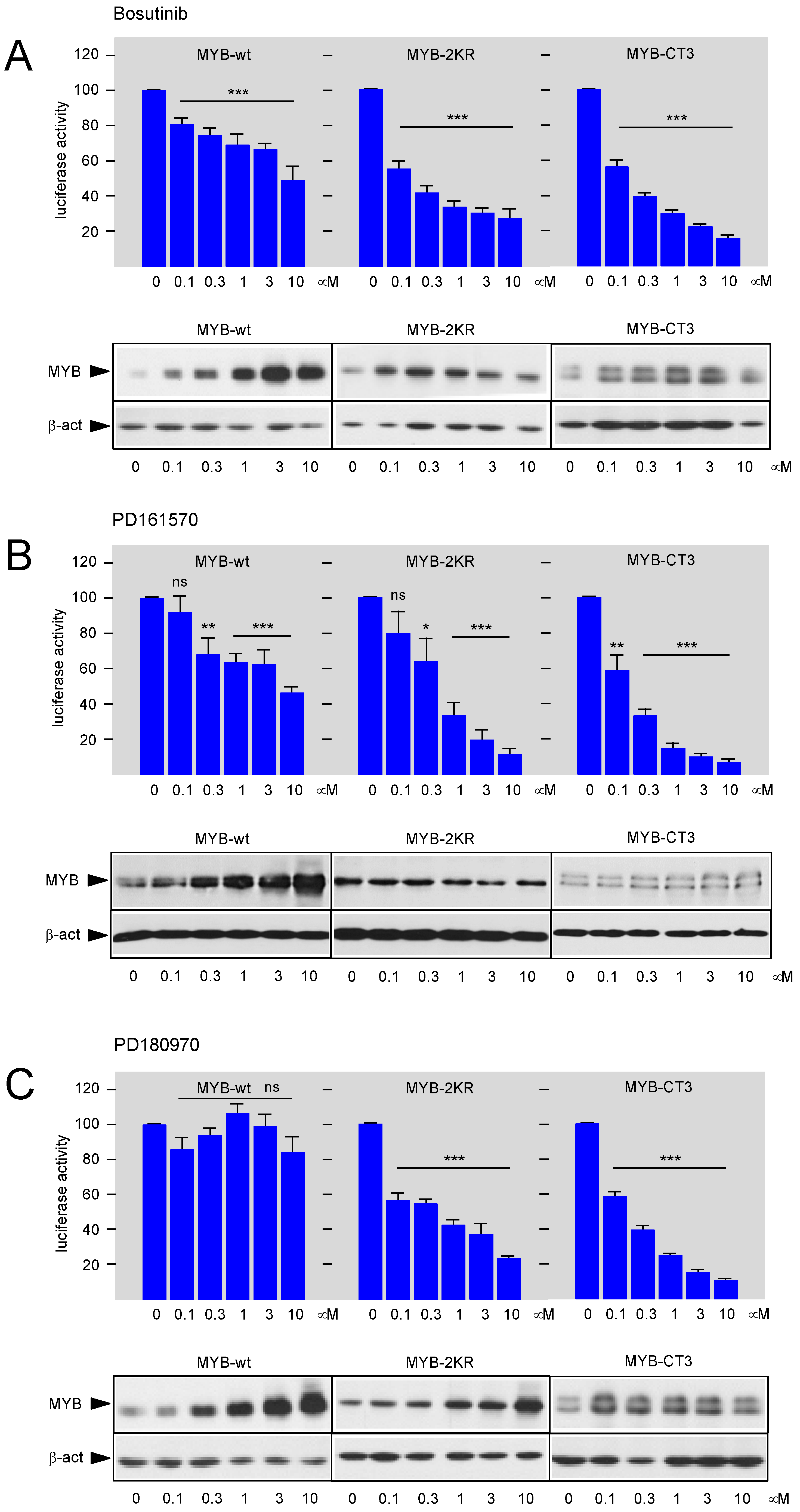 Cells 11 01162 g002 Cells 11 01162 g002