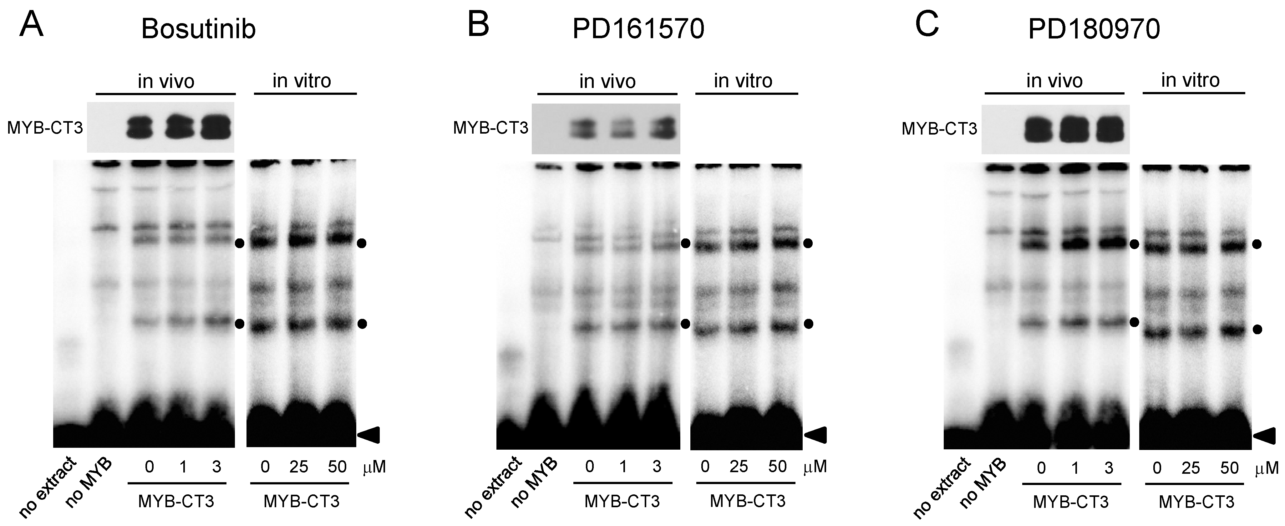 Cells 11 01162 g003 Cells 11 01162 g003